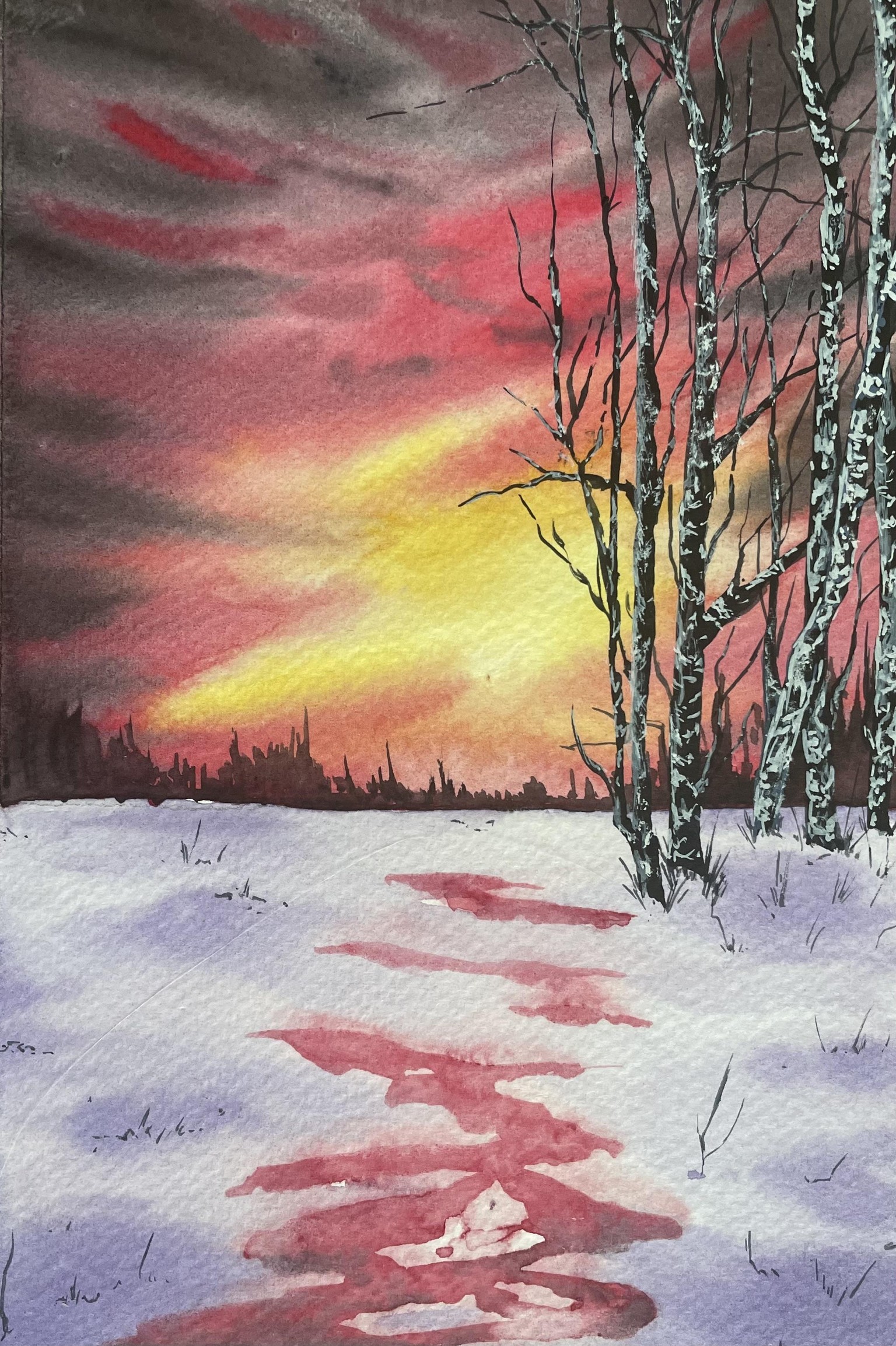 Arctic Landscapes - image 1 - student project
