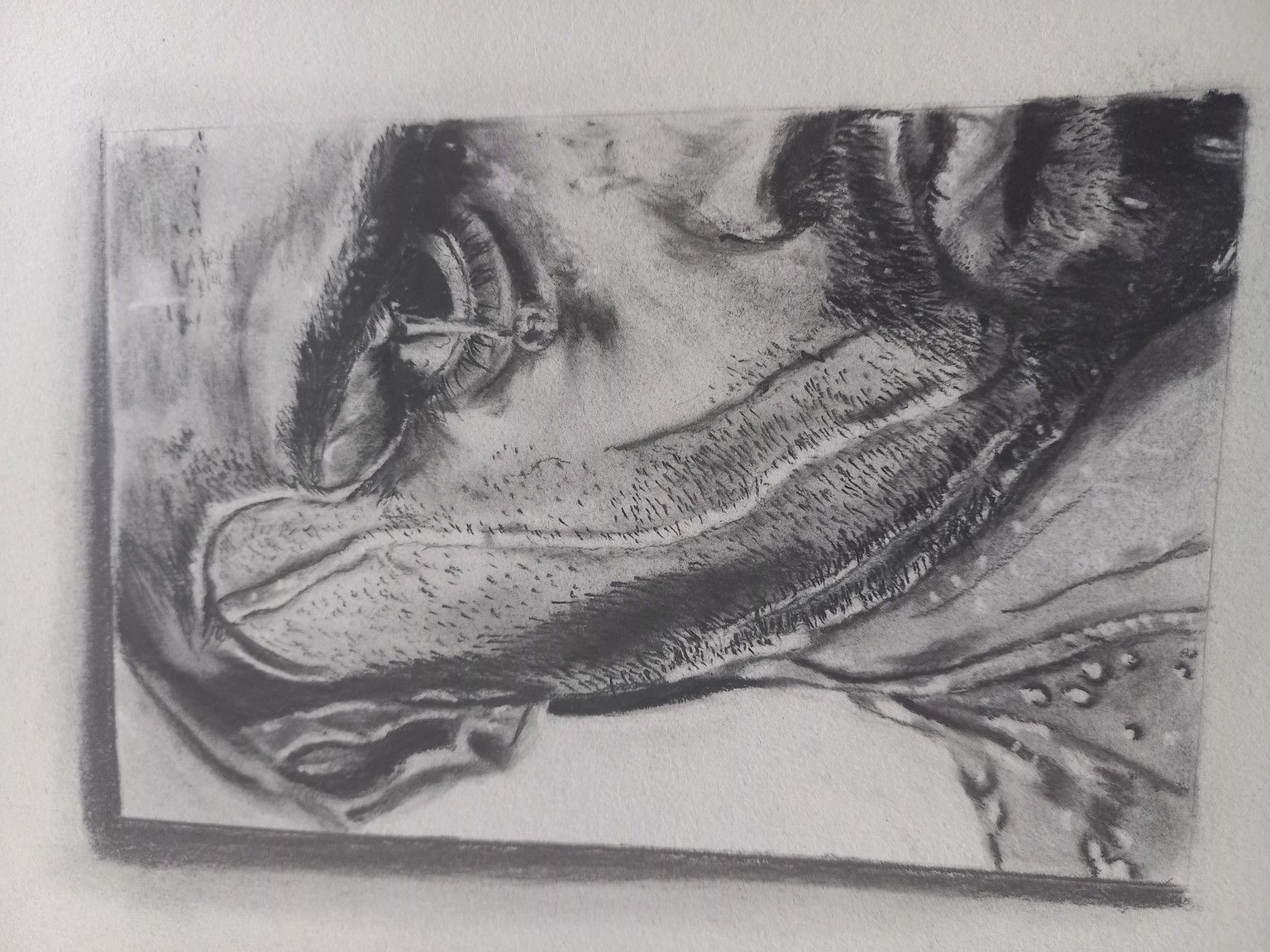 Main and sample drawing - image 2 - student project