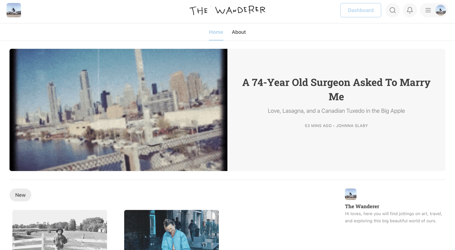 THE WANDERER - image 1 - student project