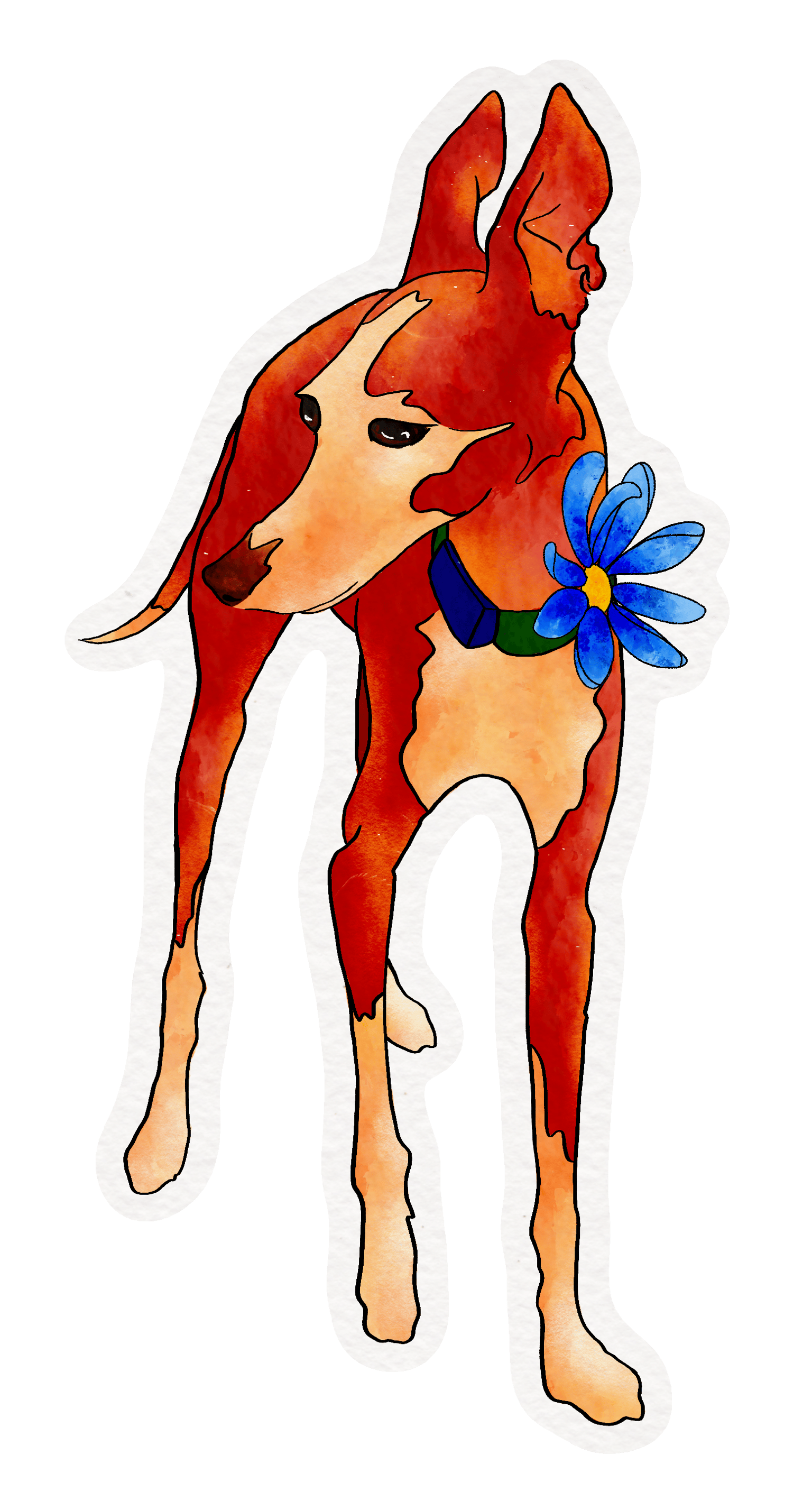 Italian greyhound sticker - image 1 - student project