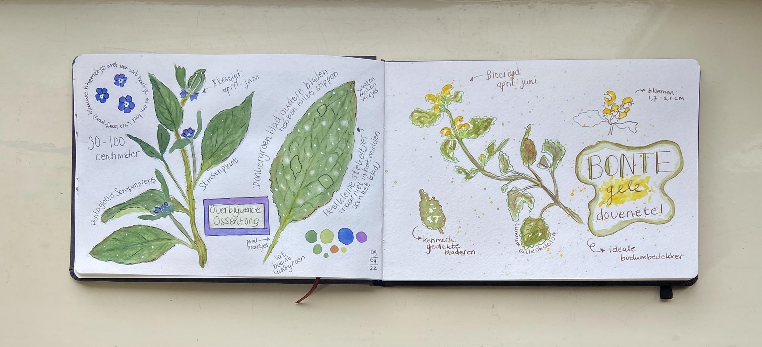 Spring nature journal - image 1 - student project