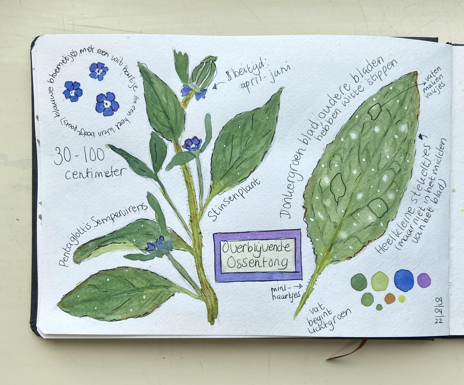 Spring nature journal - image 2 - student project