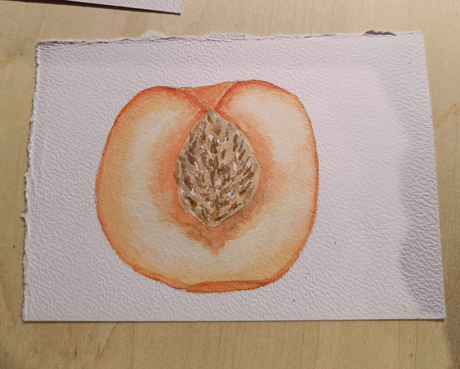 Summer fruits - image 1 - student project