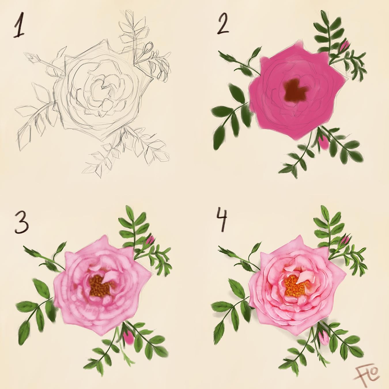 Pink Rose - image 1 - student project