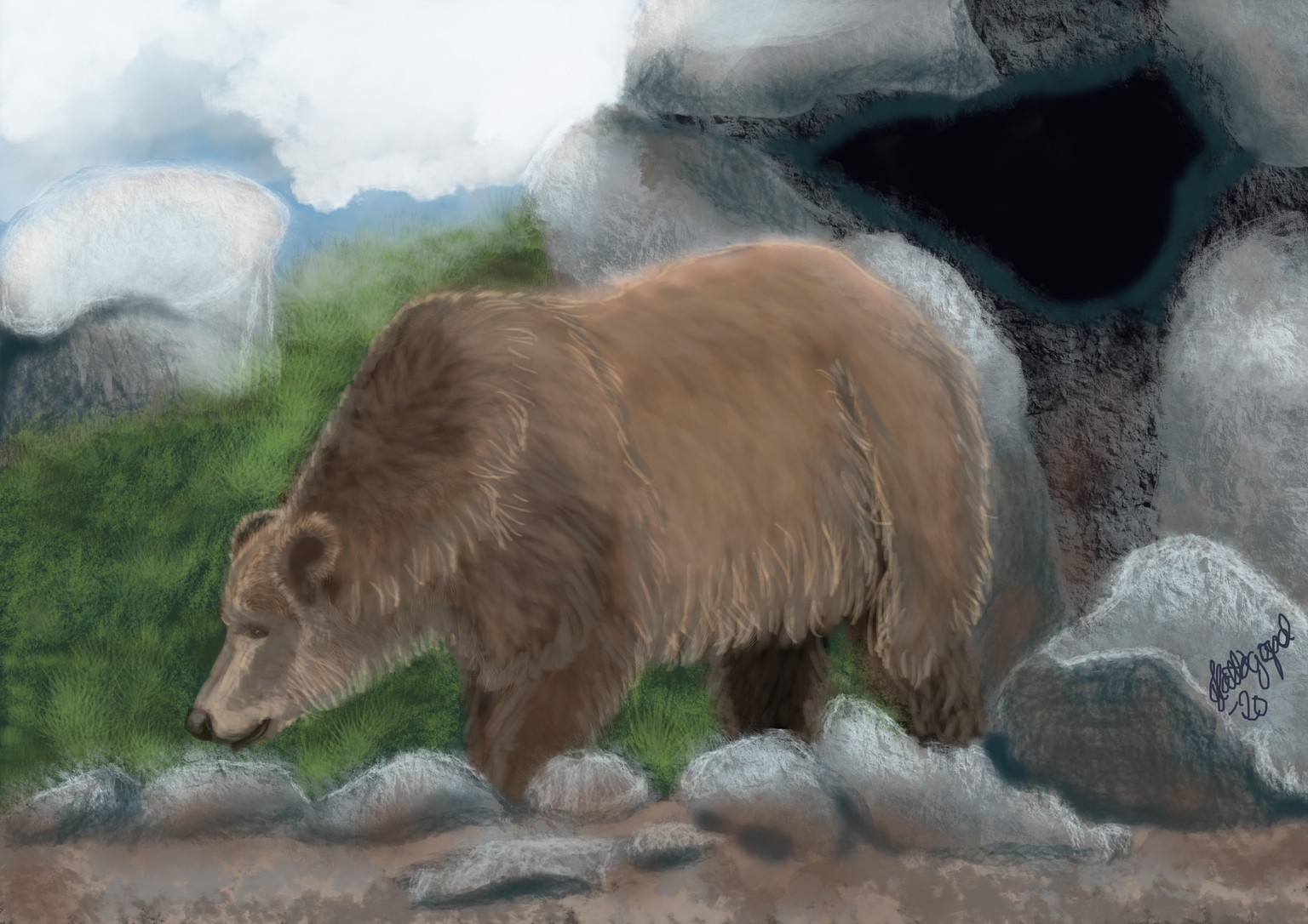 Paint a bear - image 1 - student project