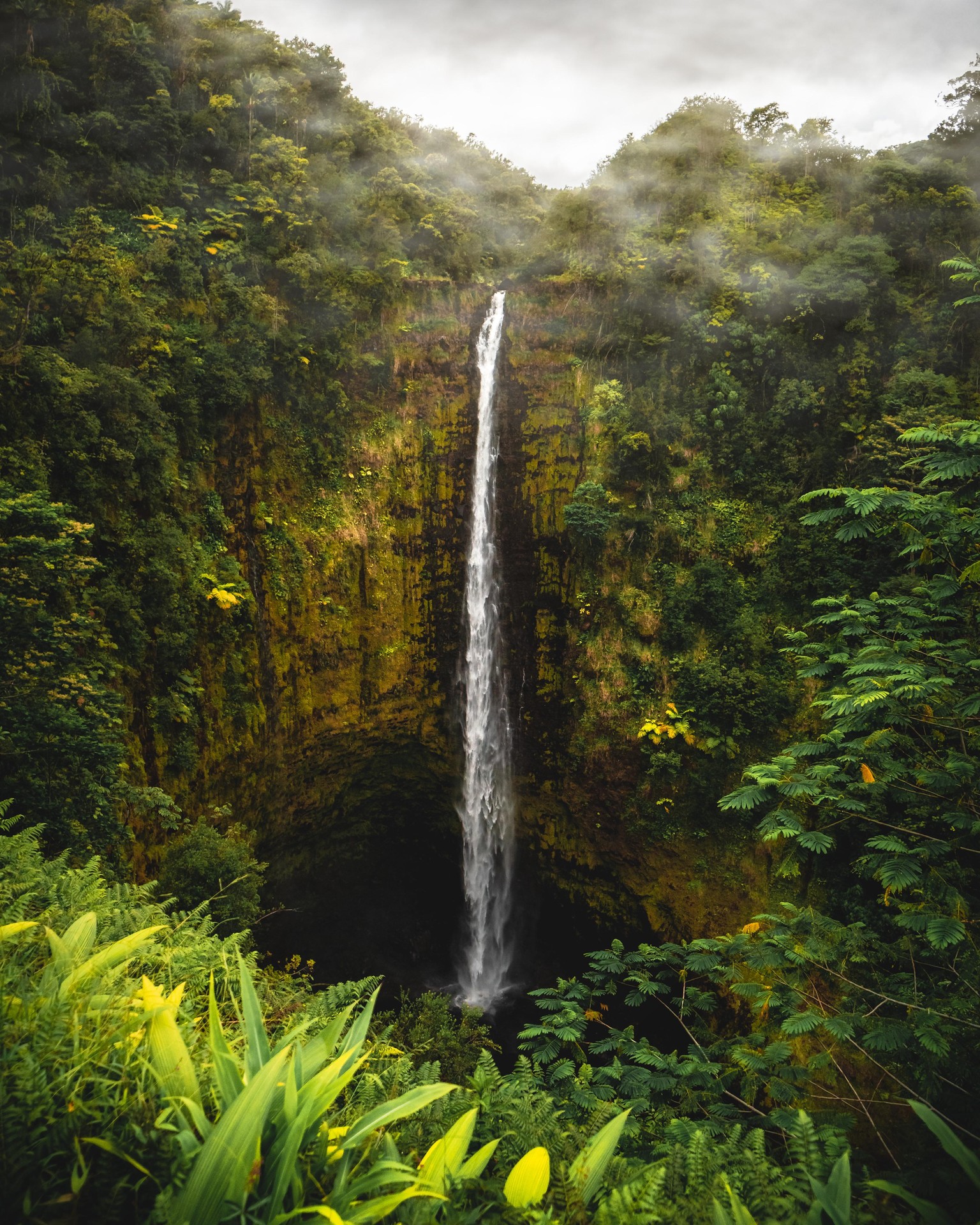 Hawaiian Waterfall - image 1 - student project
