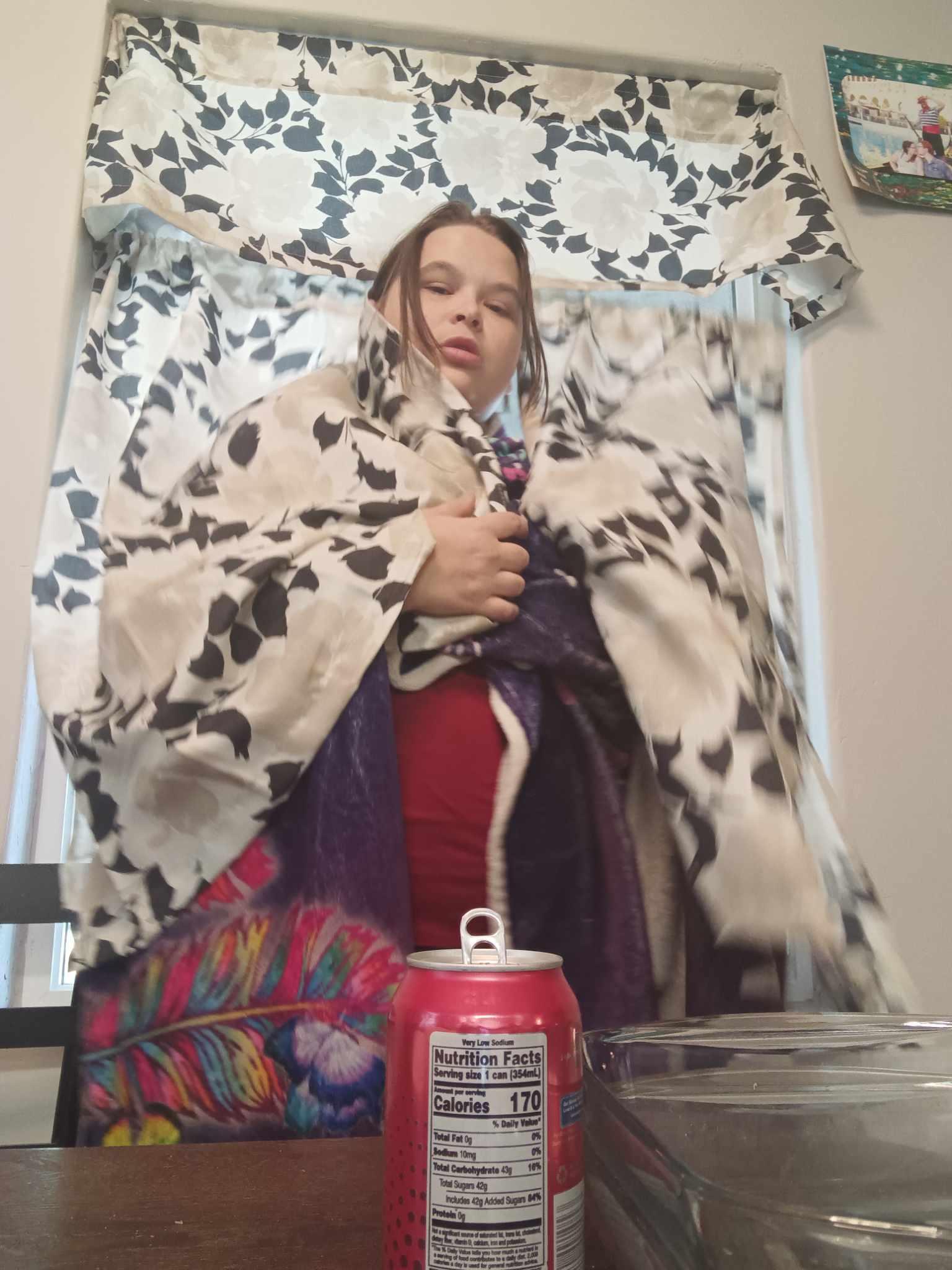 Alida's Creative Photo's Journey - image 33 - student project