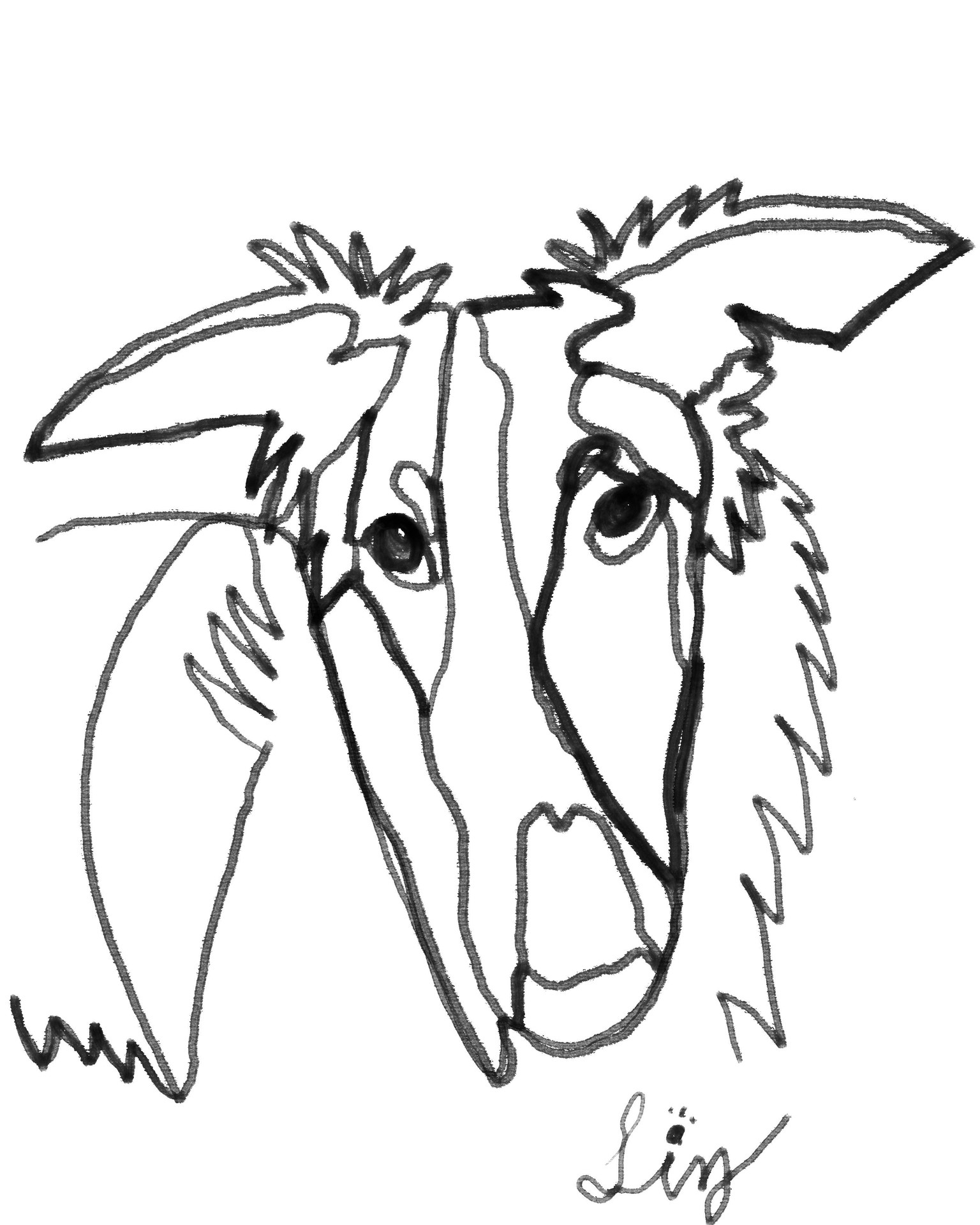 Portraits of family pets, adding more as I do them - image 10 - student project