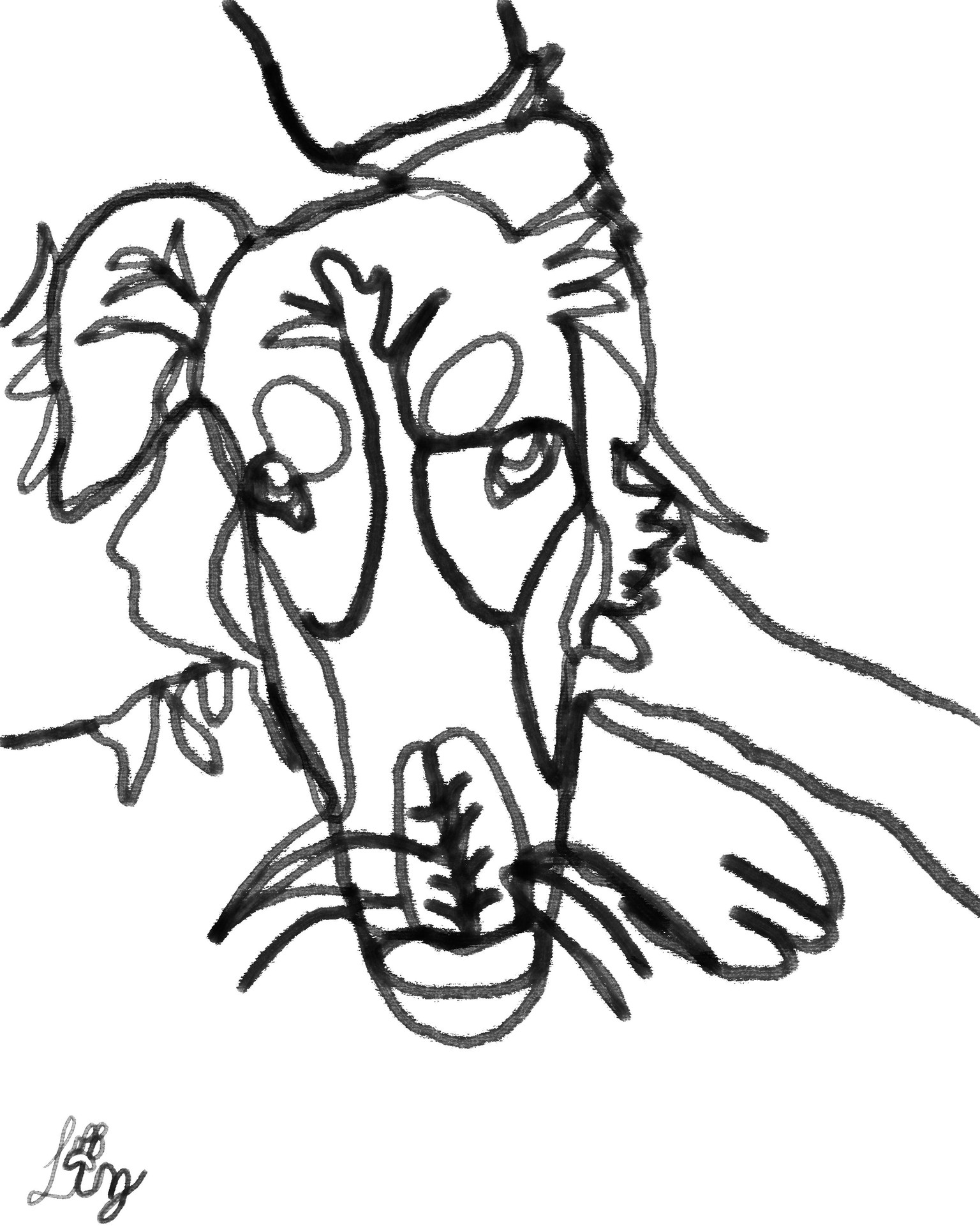 Portraits of family pets, adding more as I do them - image 3 - student project