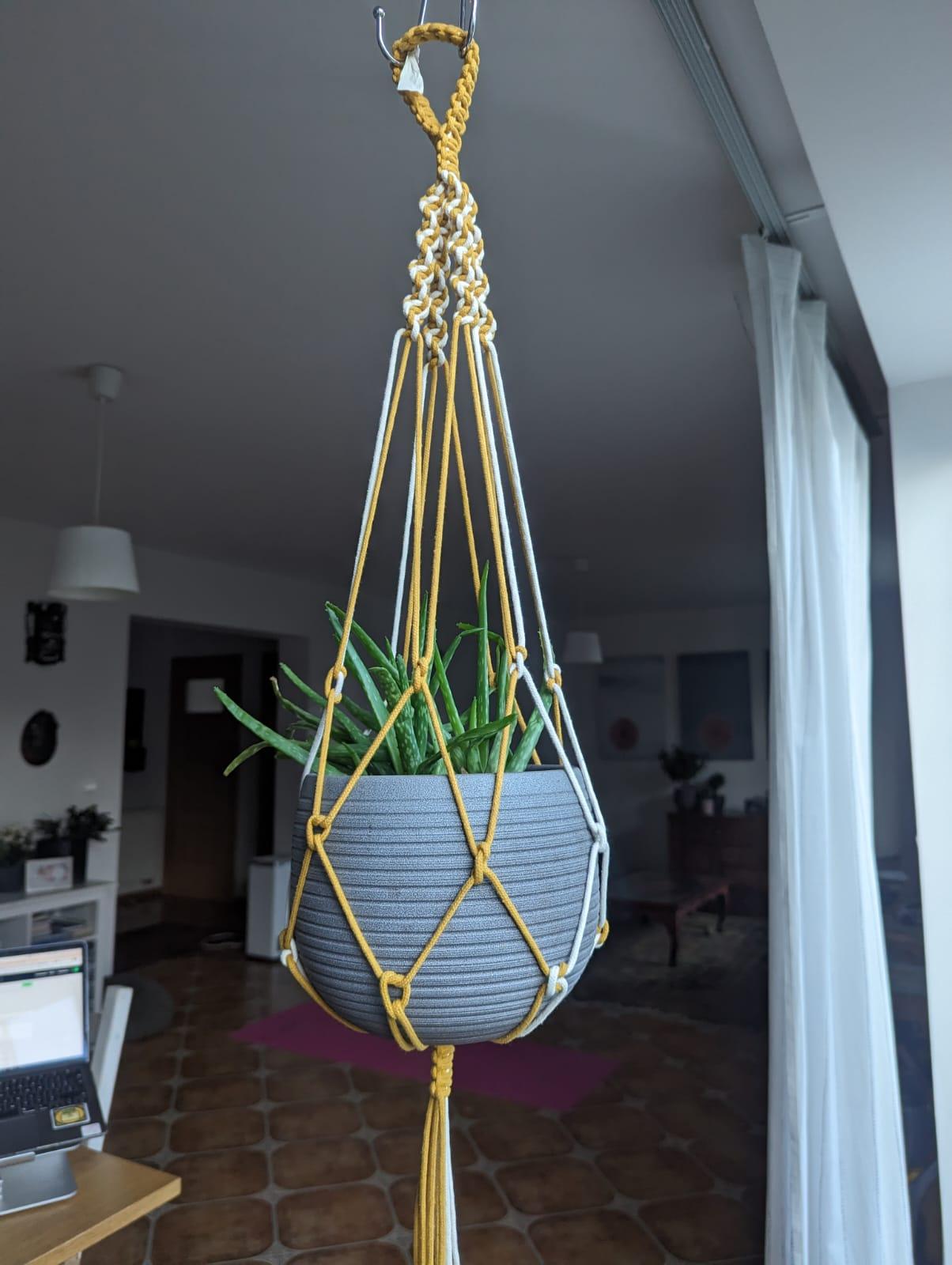 Multi-colored Plant Hanger - image 1 - student project