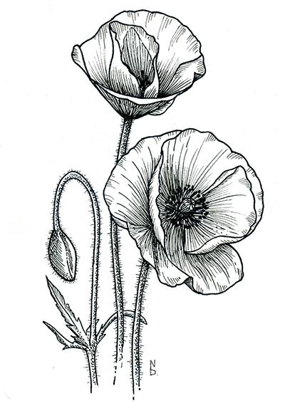 Flowers - image 2 - student project