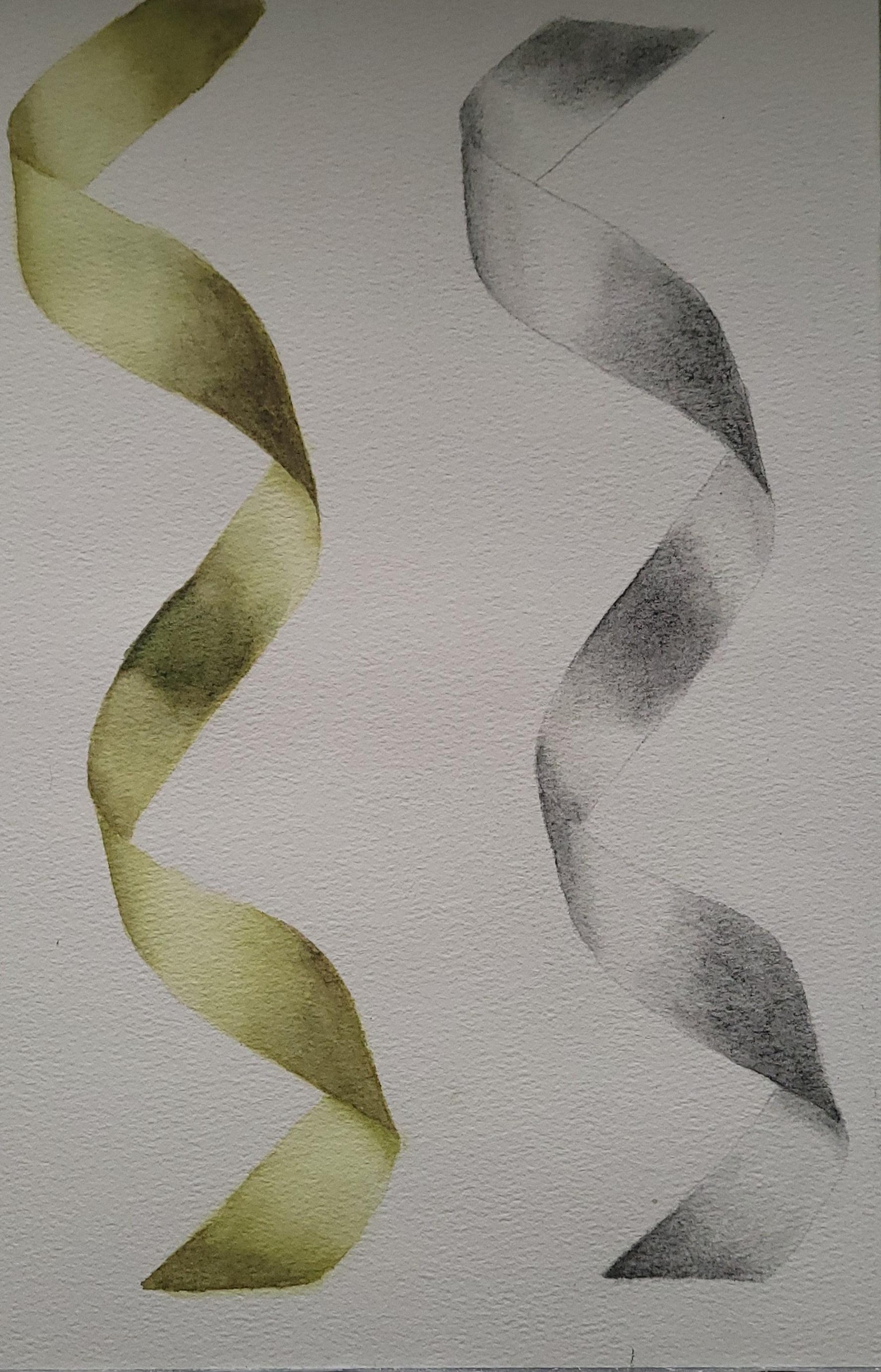 Ribbon - image 1 - student project