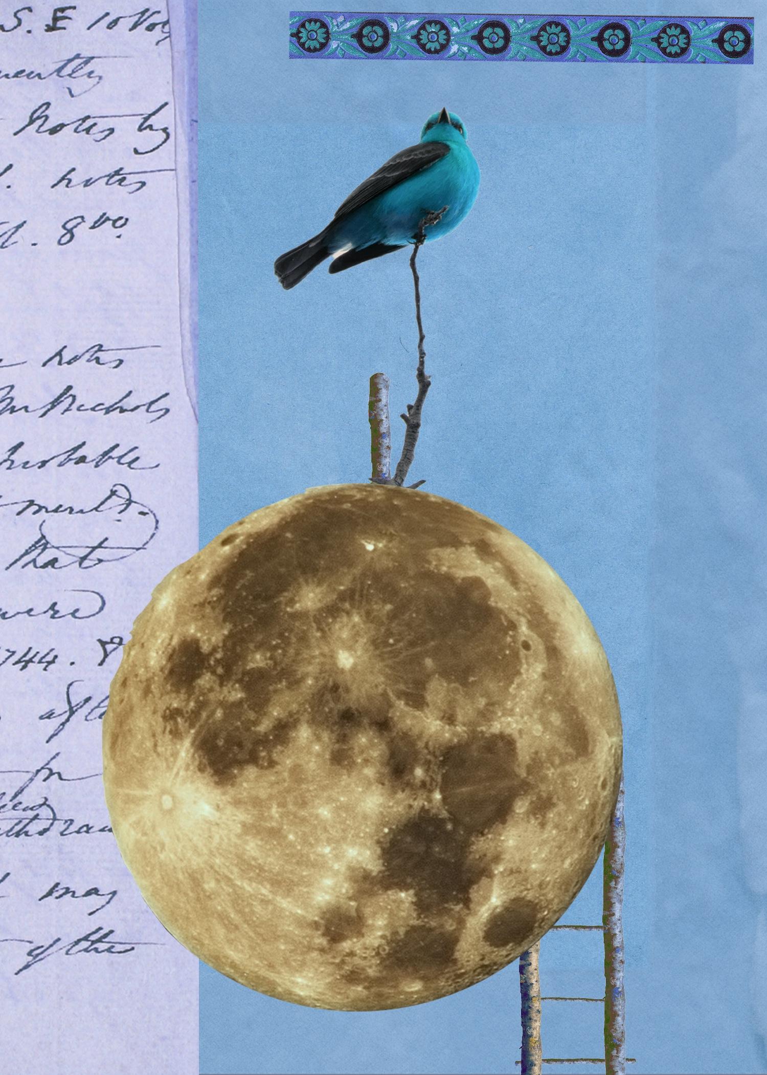 BLUE BIRD IN HEAVEN - image 1 - student project