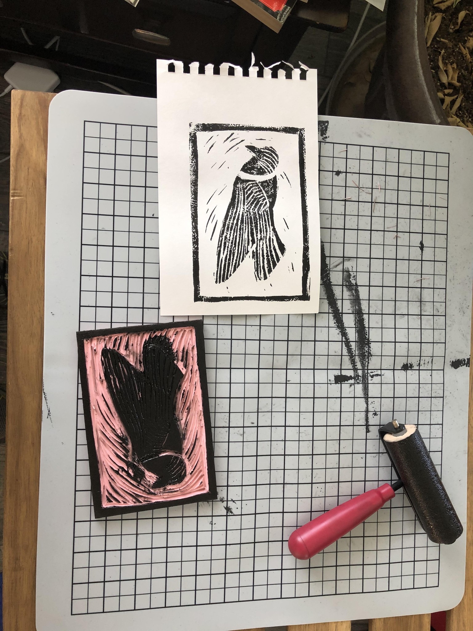 Chipping Sparrow - image 4 - student project