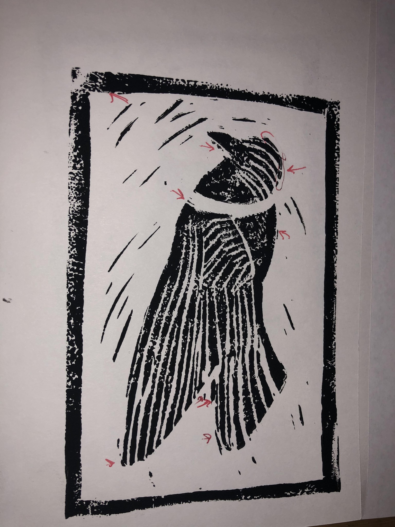 Chipping Sparrow - image 2 - student project