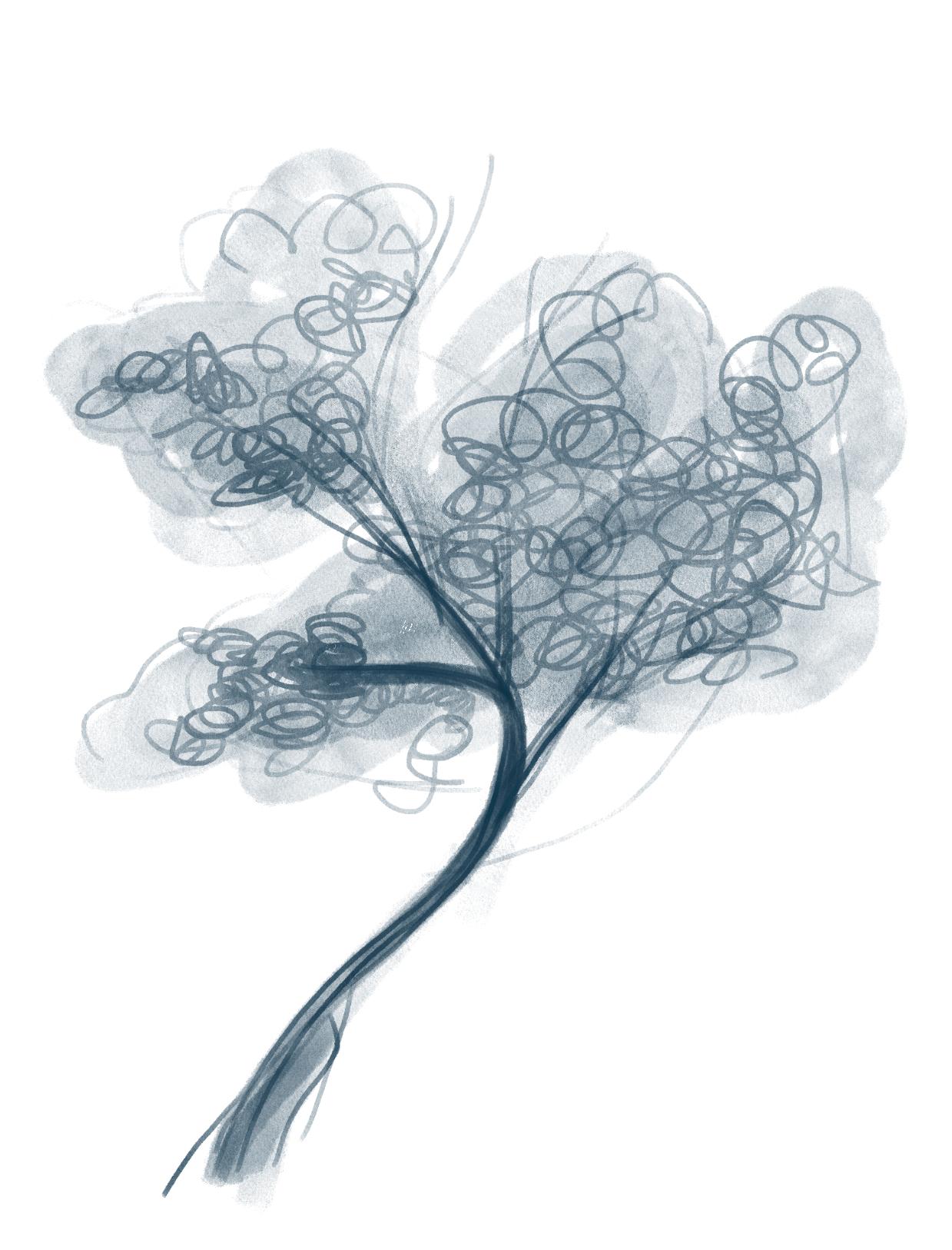 Trees - image 2 - student project
