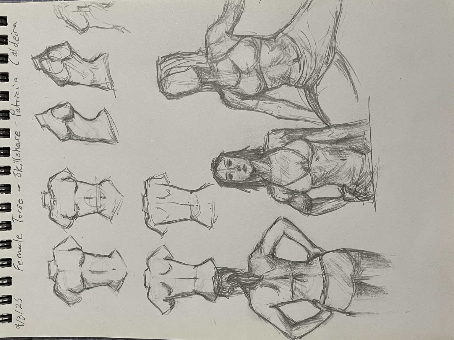 Female Torso - image 1 - student project