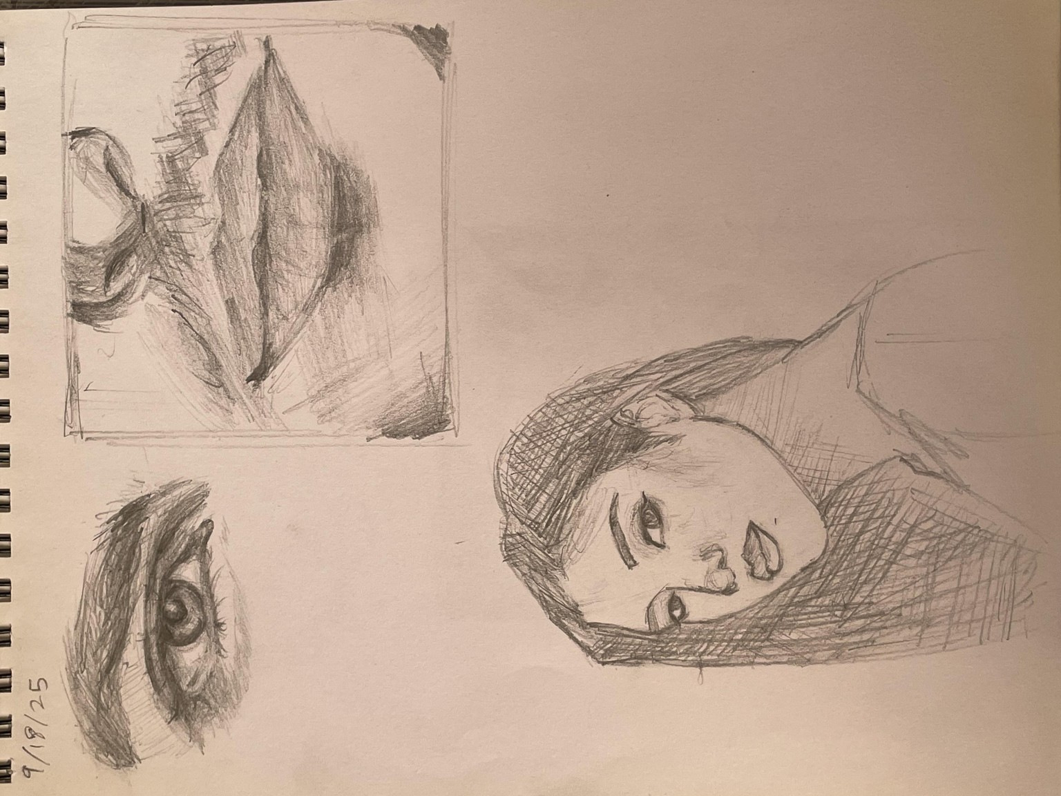 Portrait Sketching - image 1 - student project