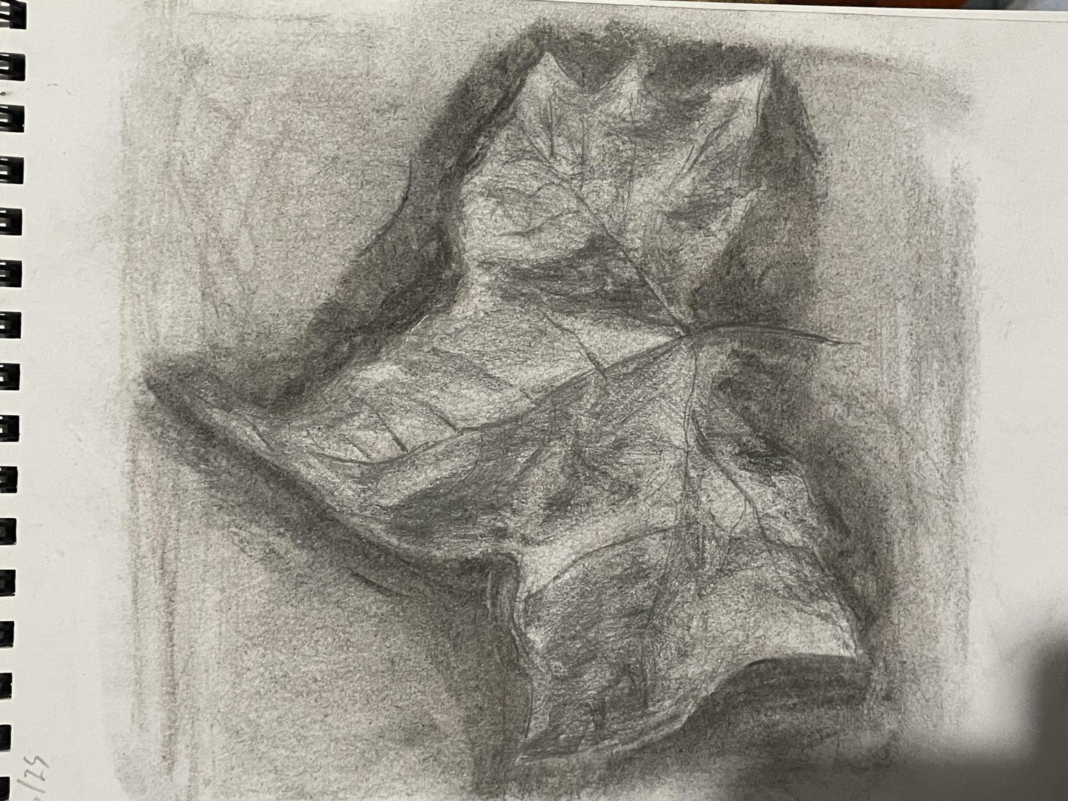 Using Value to Render Light & Shadow - image 1 - student project