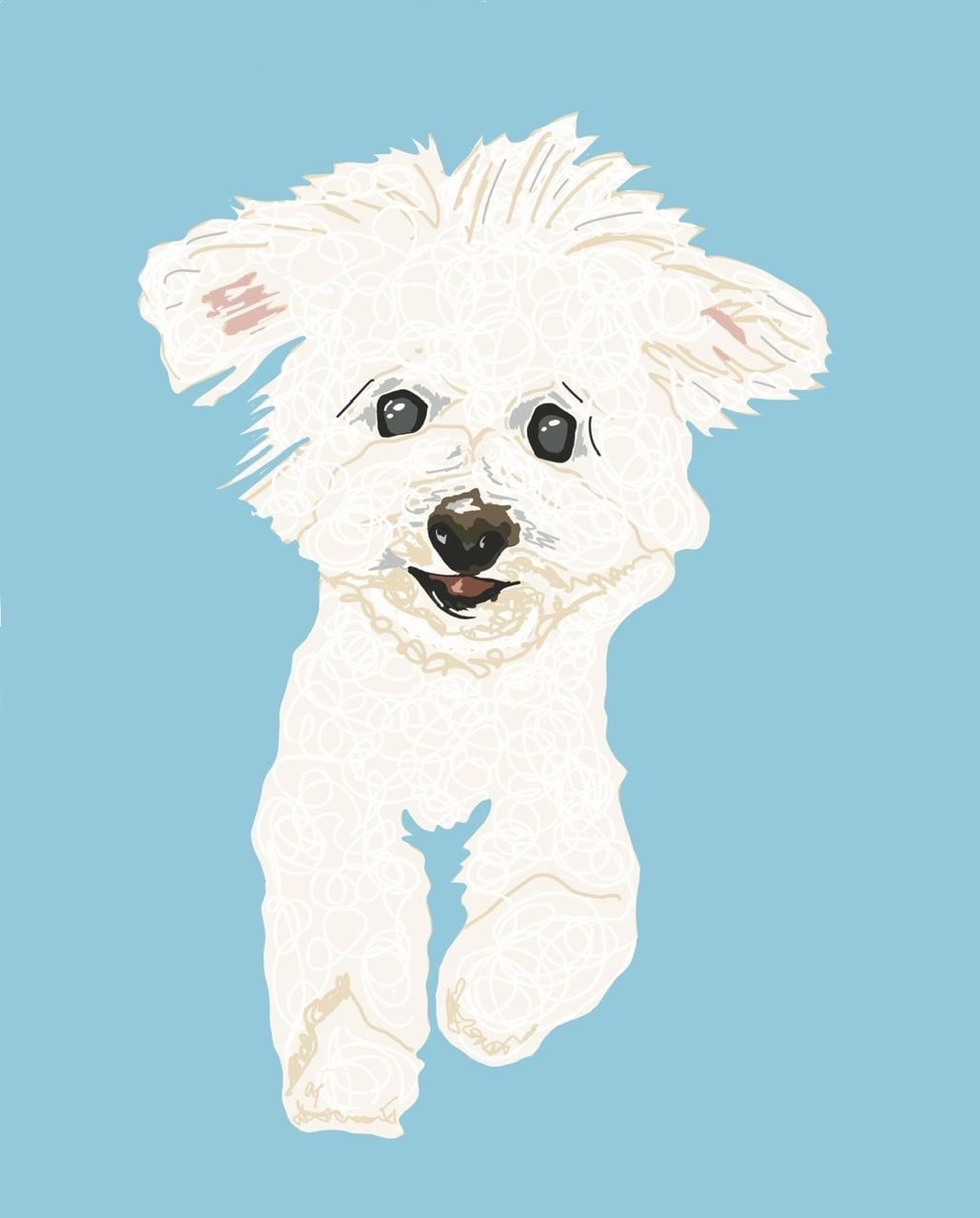 Polo - image 1 - student project