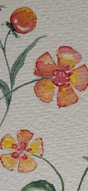 Watercolour Techniques & Textures - image 1 - student project