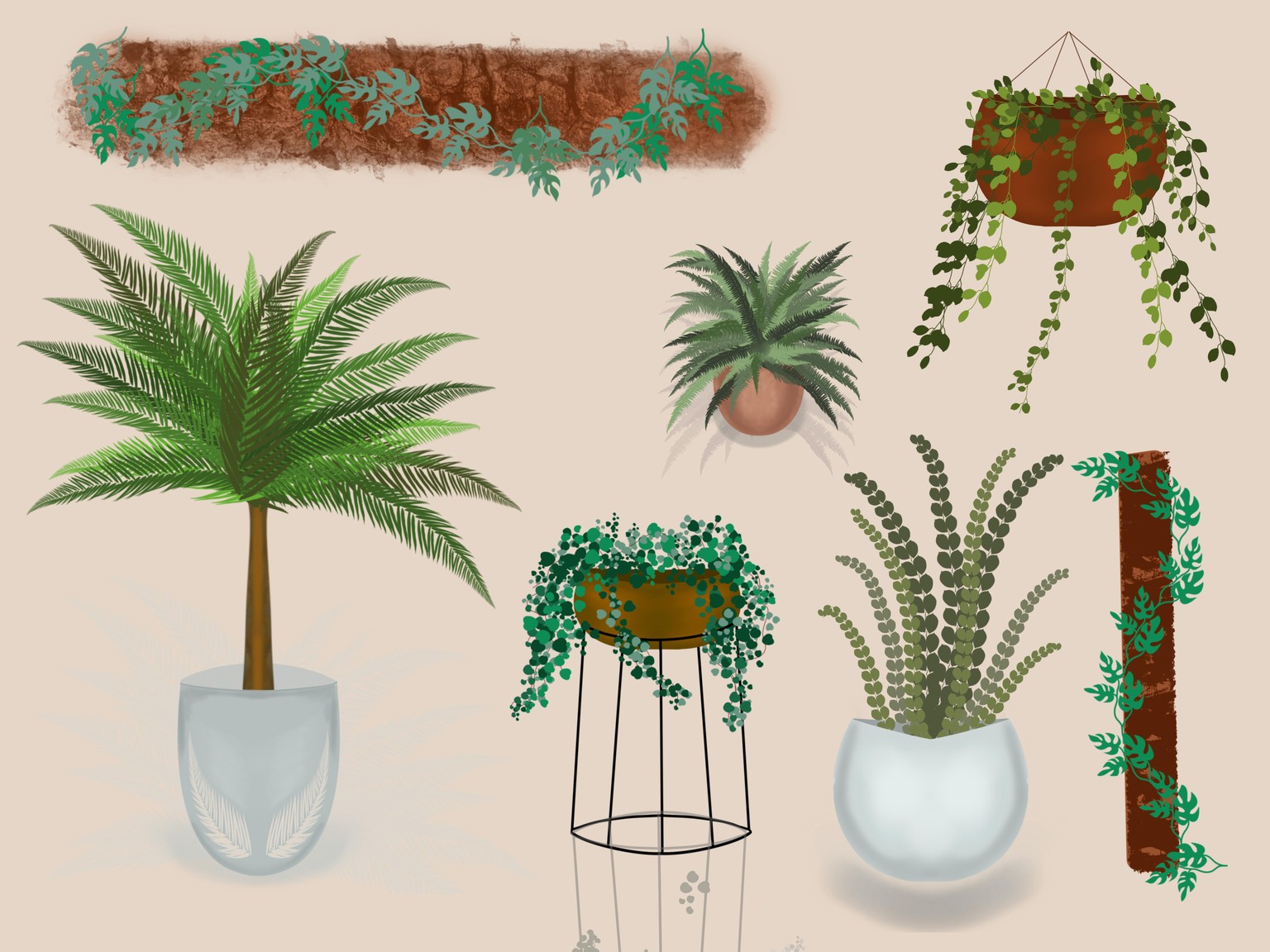 Welcome to the jungle - image 1 - student project