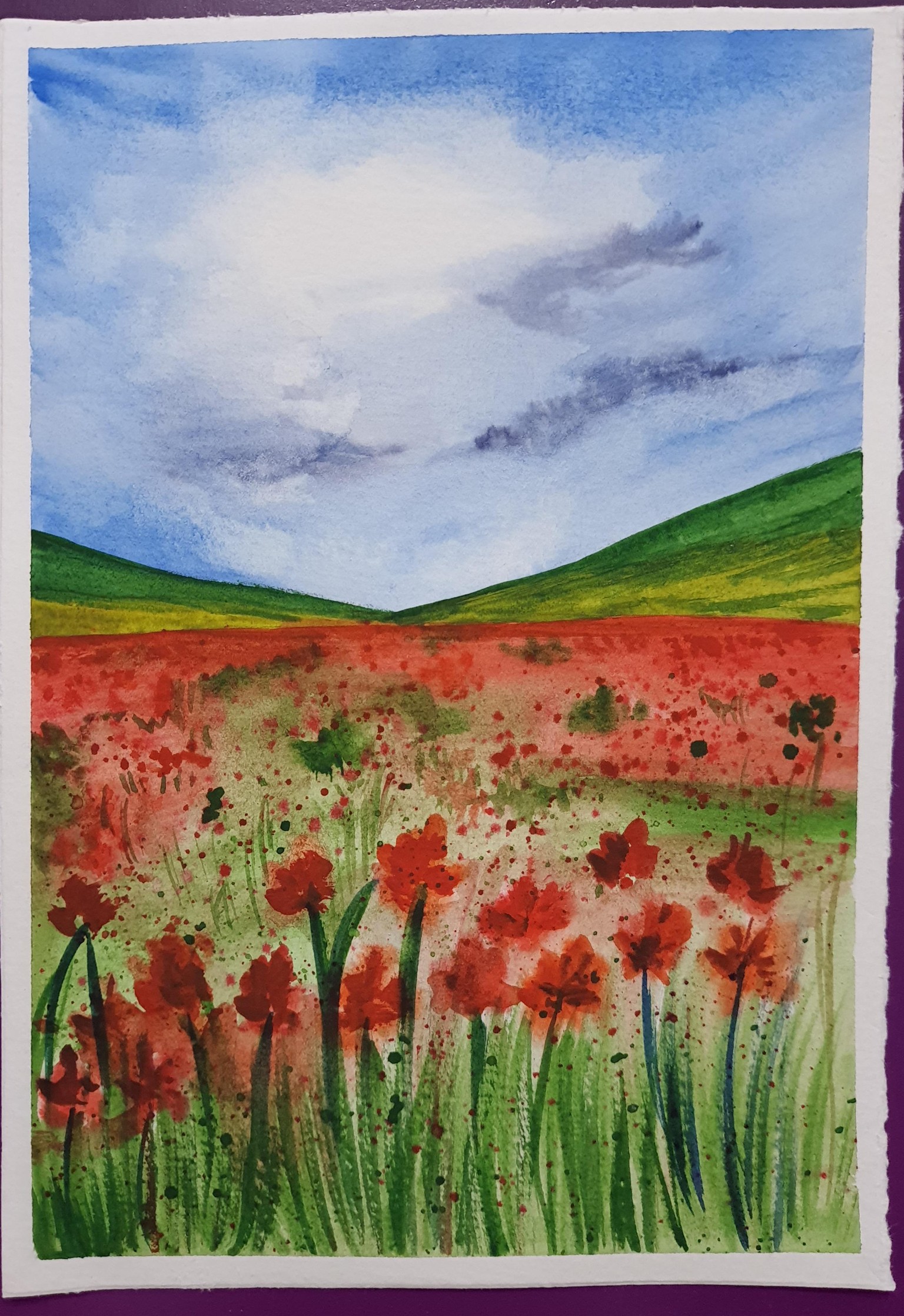 Spring flower fields - image 1 - student project