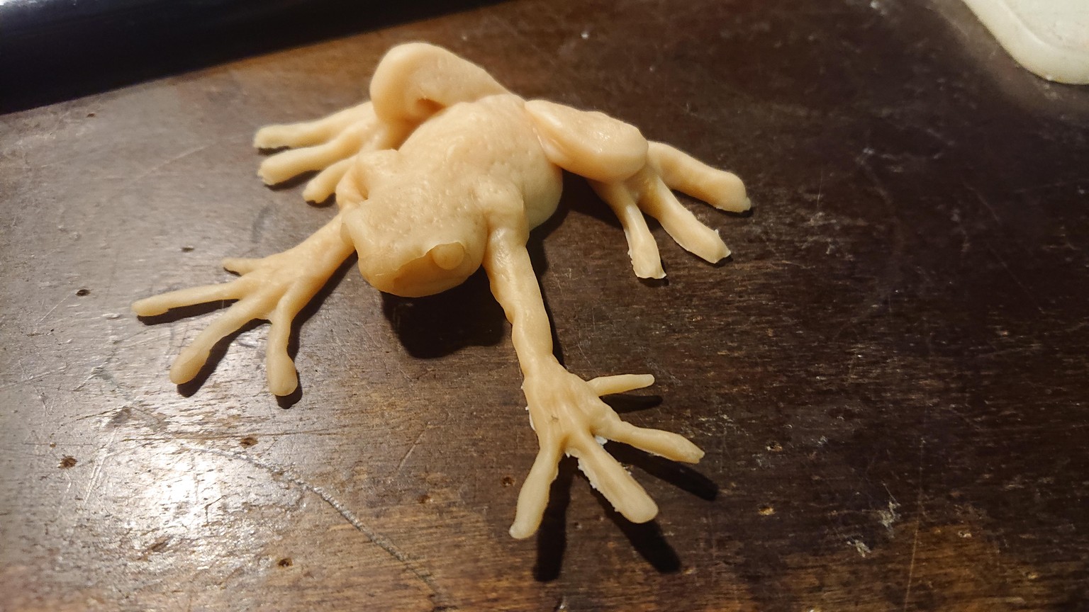 My little frog - image 1 - student project