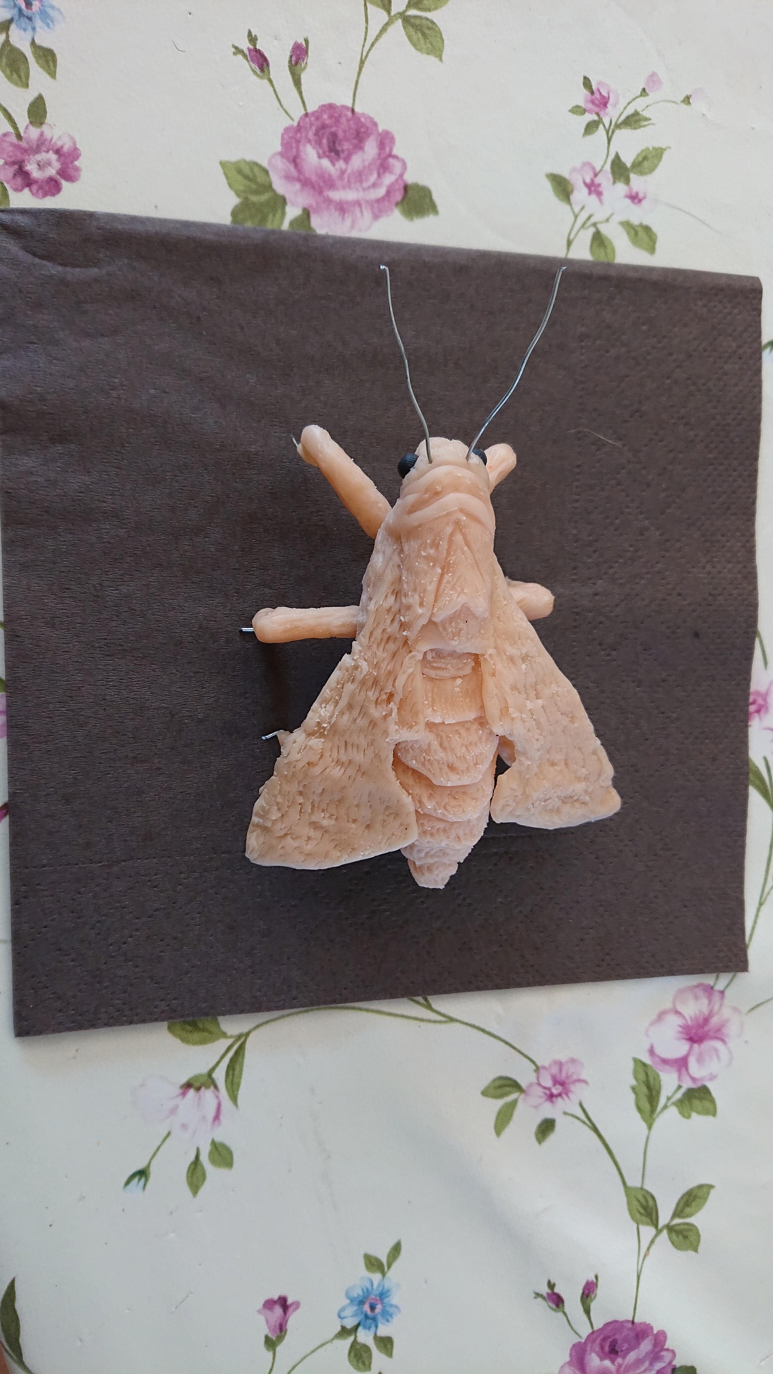 Unpainted Moth - image 2 - student project