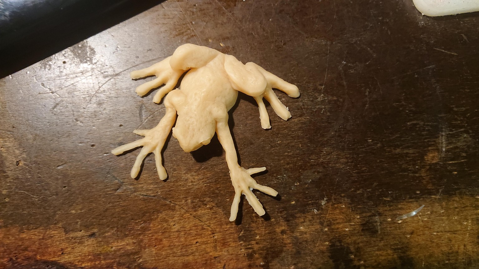 My little frog - image 2 - student project