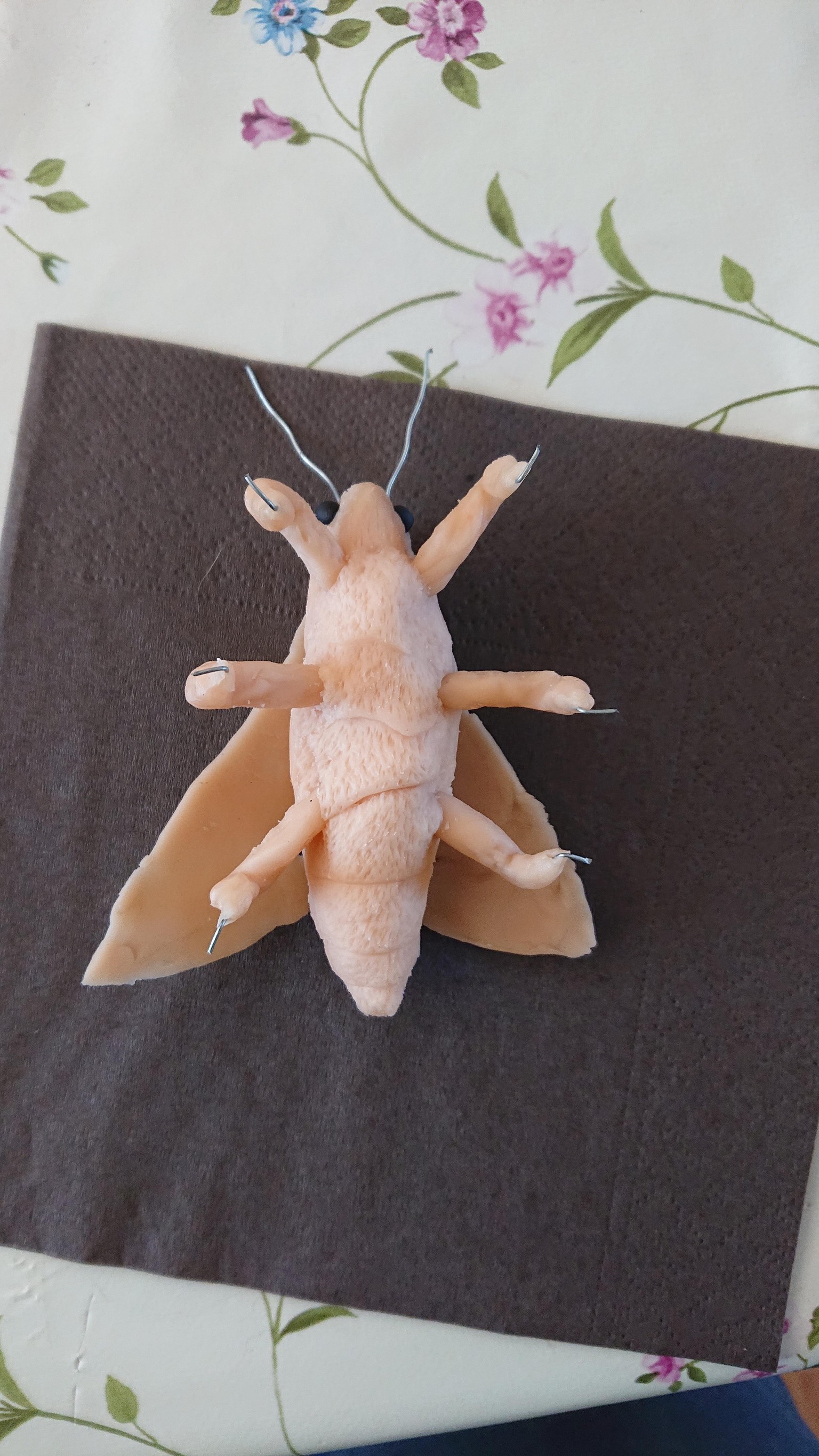 Unpainted Moth - image 3 - student project