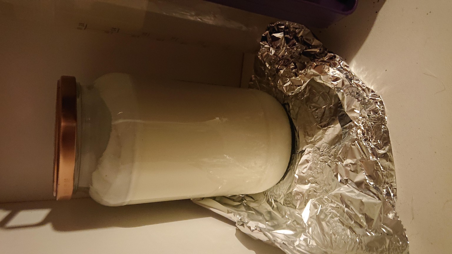 Kefir - image 2 - student project