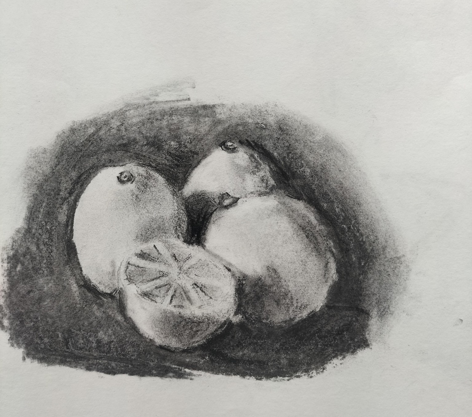 Learn to Draw : Complete Course - image 7 - student project