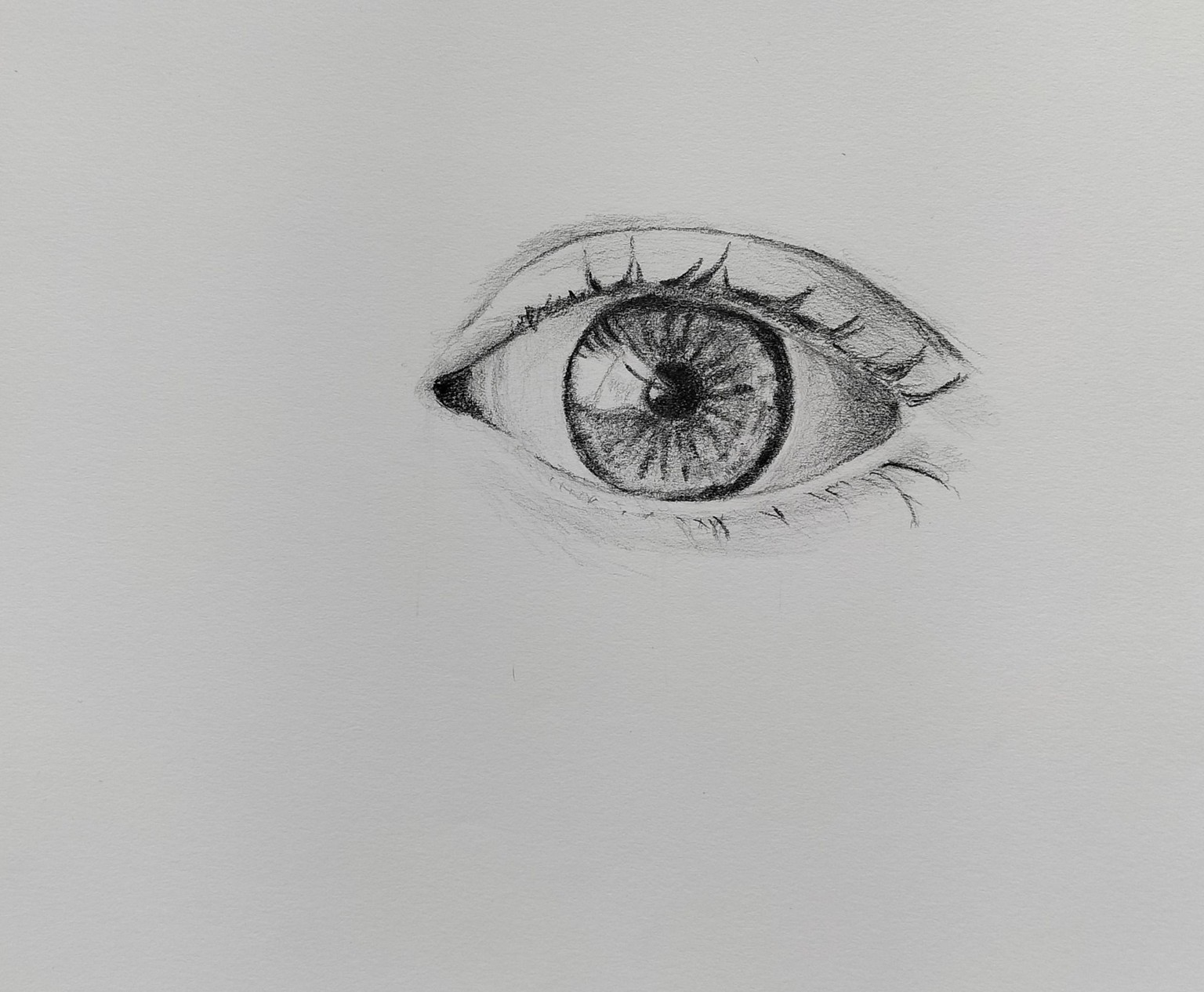 Learn to Draw : Complete Course - image 9 - student project
