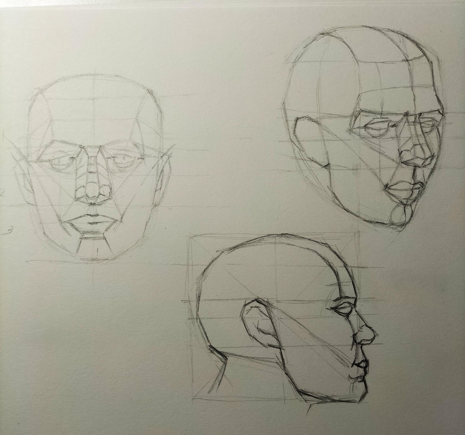 Head drawing basics - image 1 - student project
