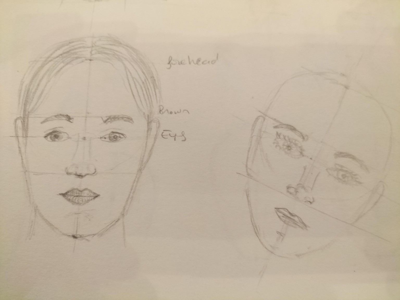 Introduction portrait 2D, 3D - image 2 - student project