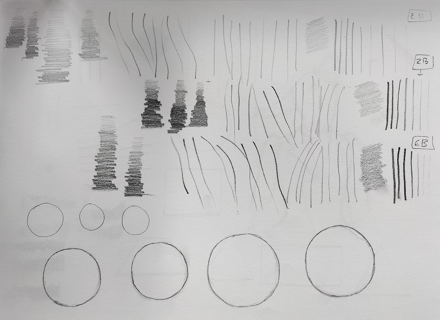 Learn to Draw : Complete Course - image 1 - student project