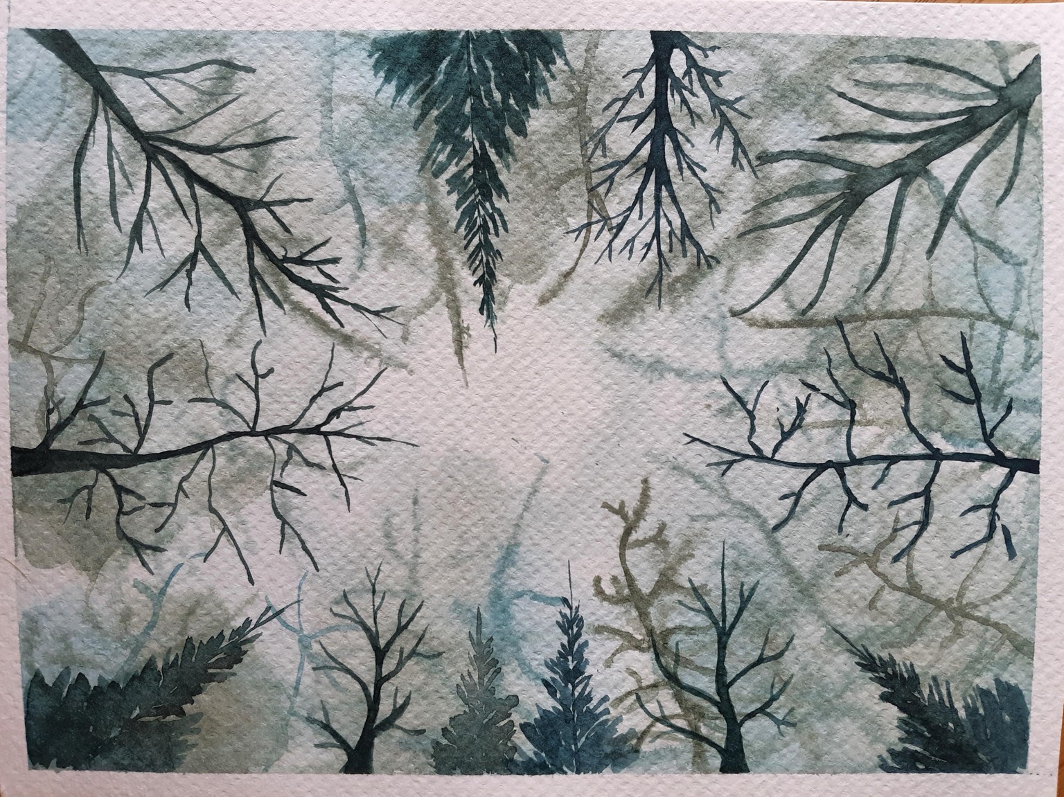 The forest from below - image 1 - student project