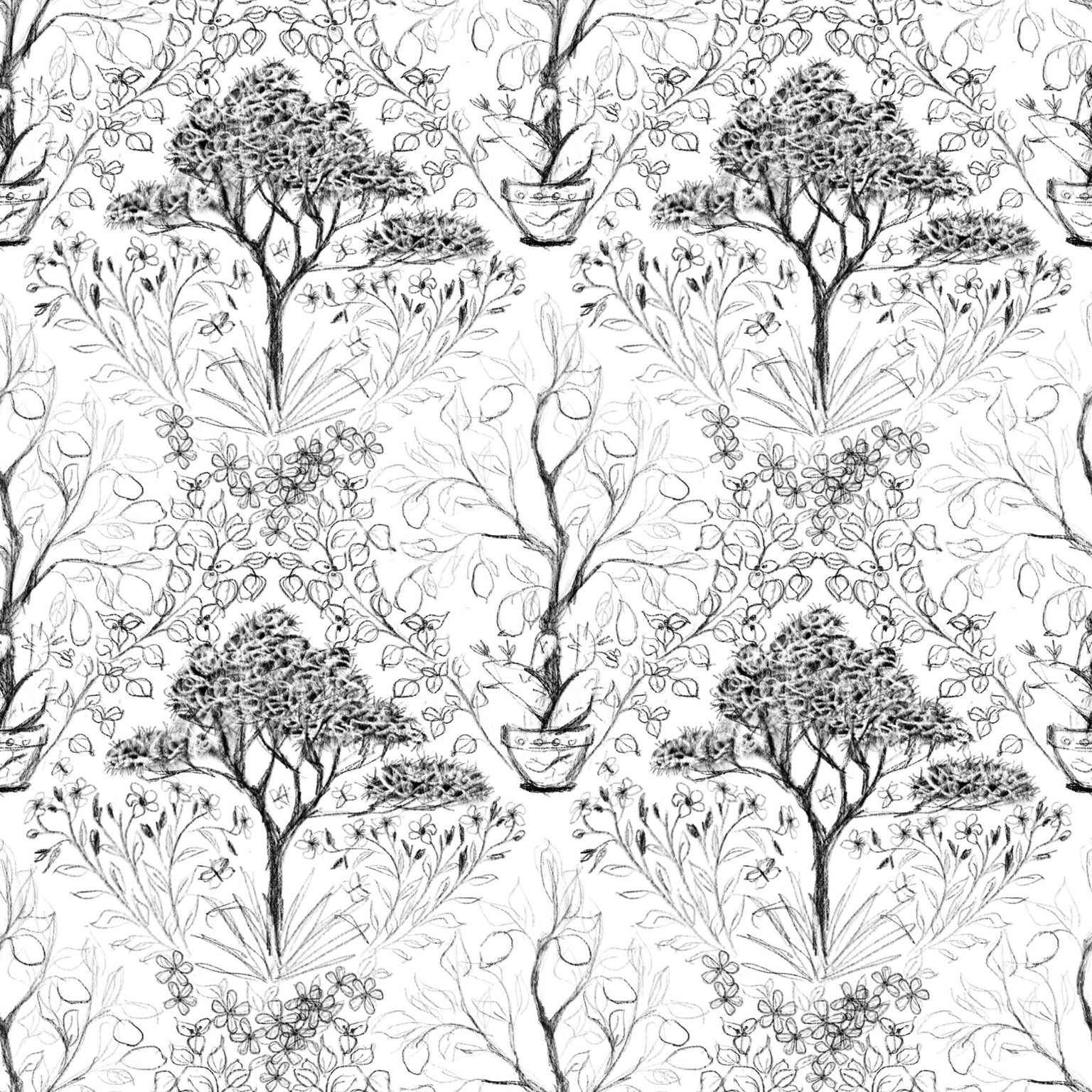 La Divina Costiera - image 5 - student project