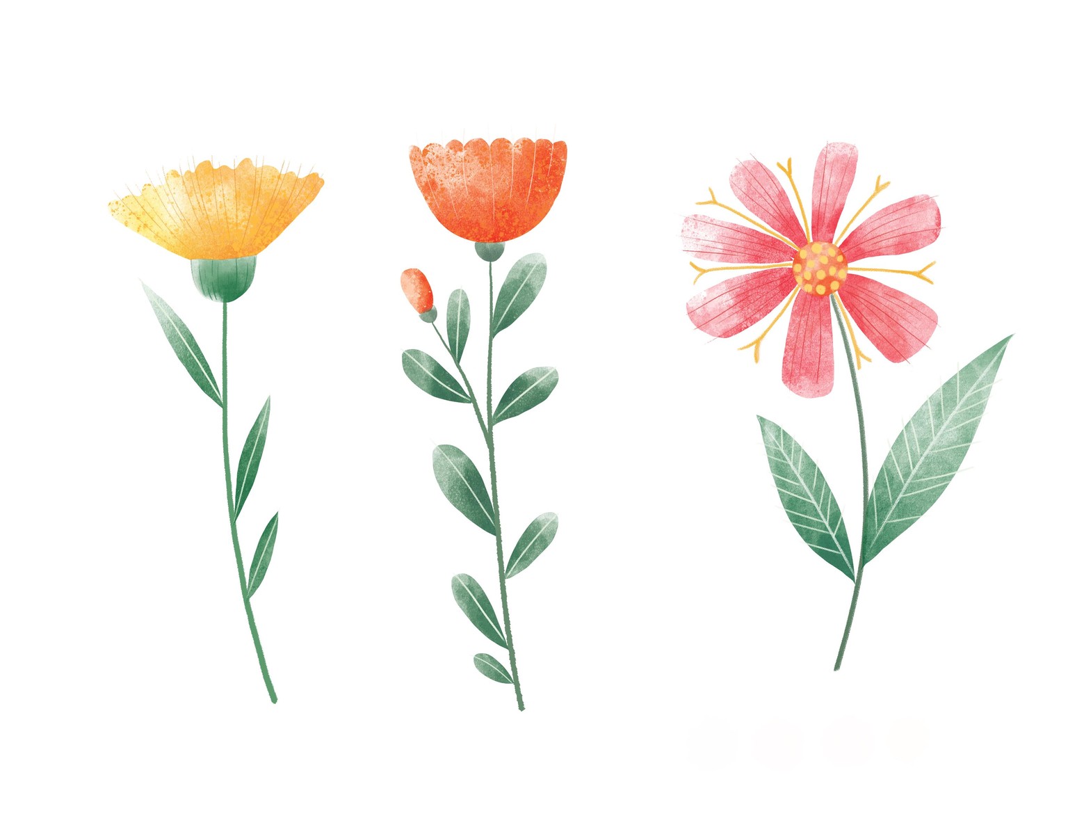 Lasso Autumn Bouquet Practice - image 3 - student project