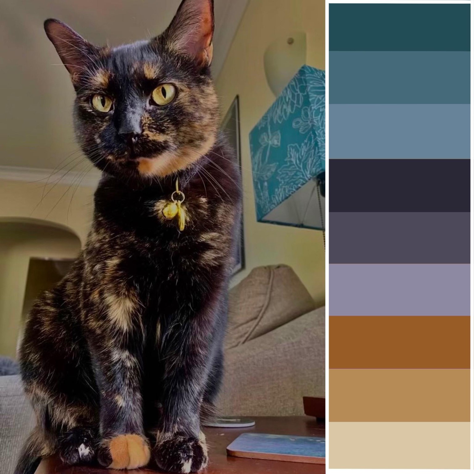 Procreate Palette Projects - image 4 - student project