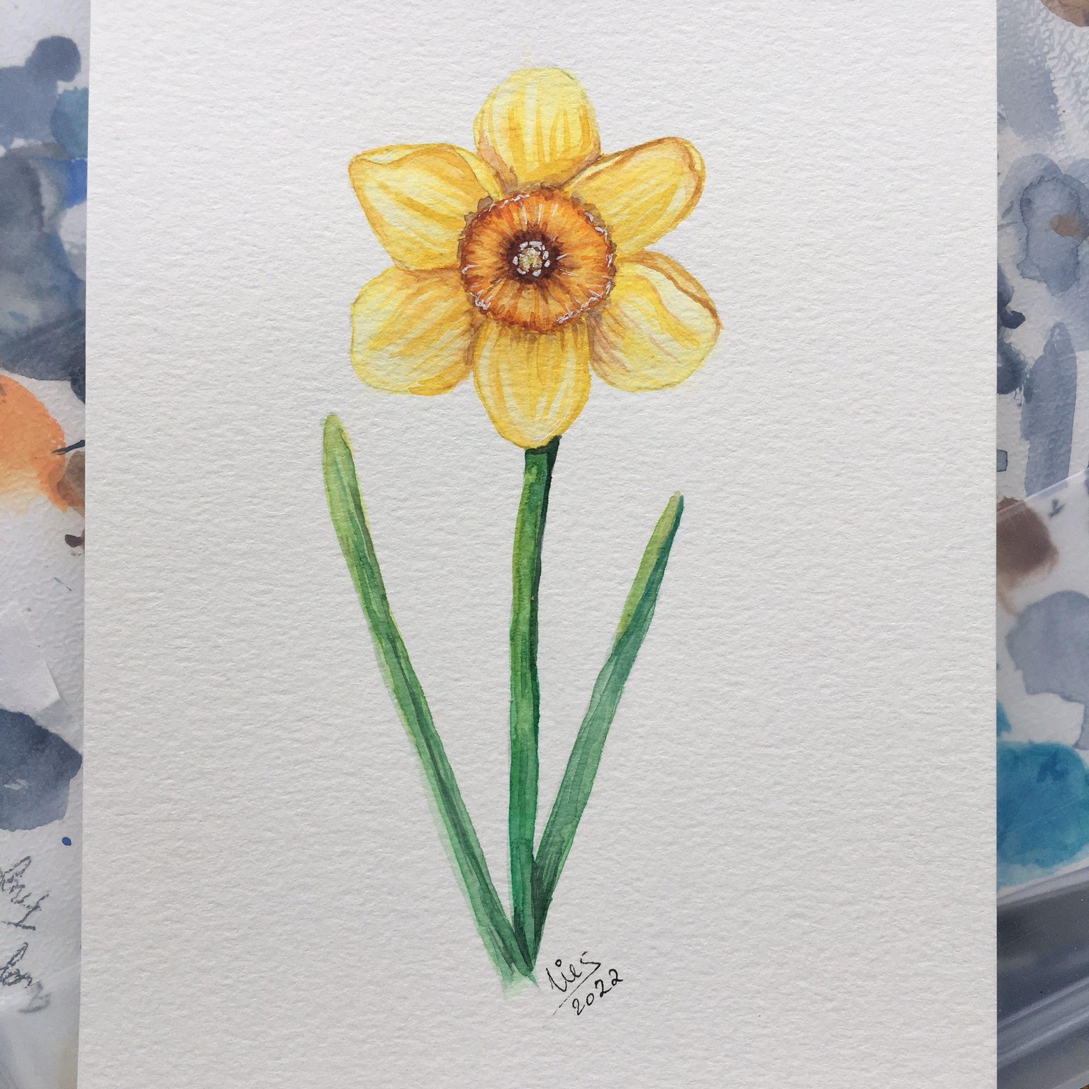 aquarel lentebloemen - 3 stijlen - image 2 - student project