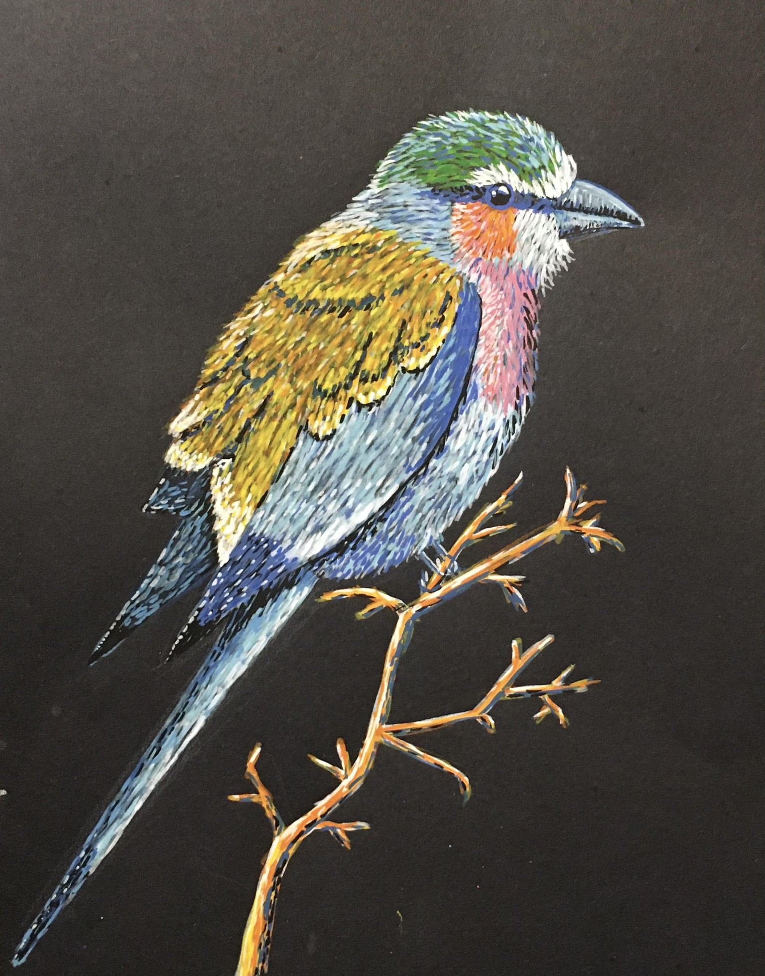 Acrylstiften vogel - image 1 - student project