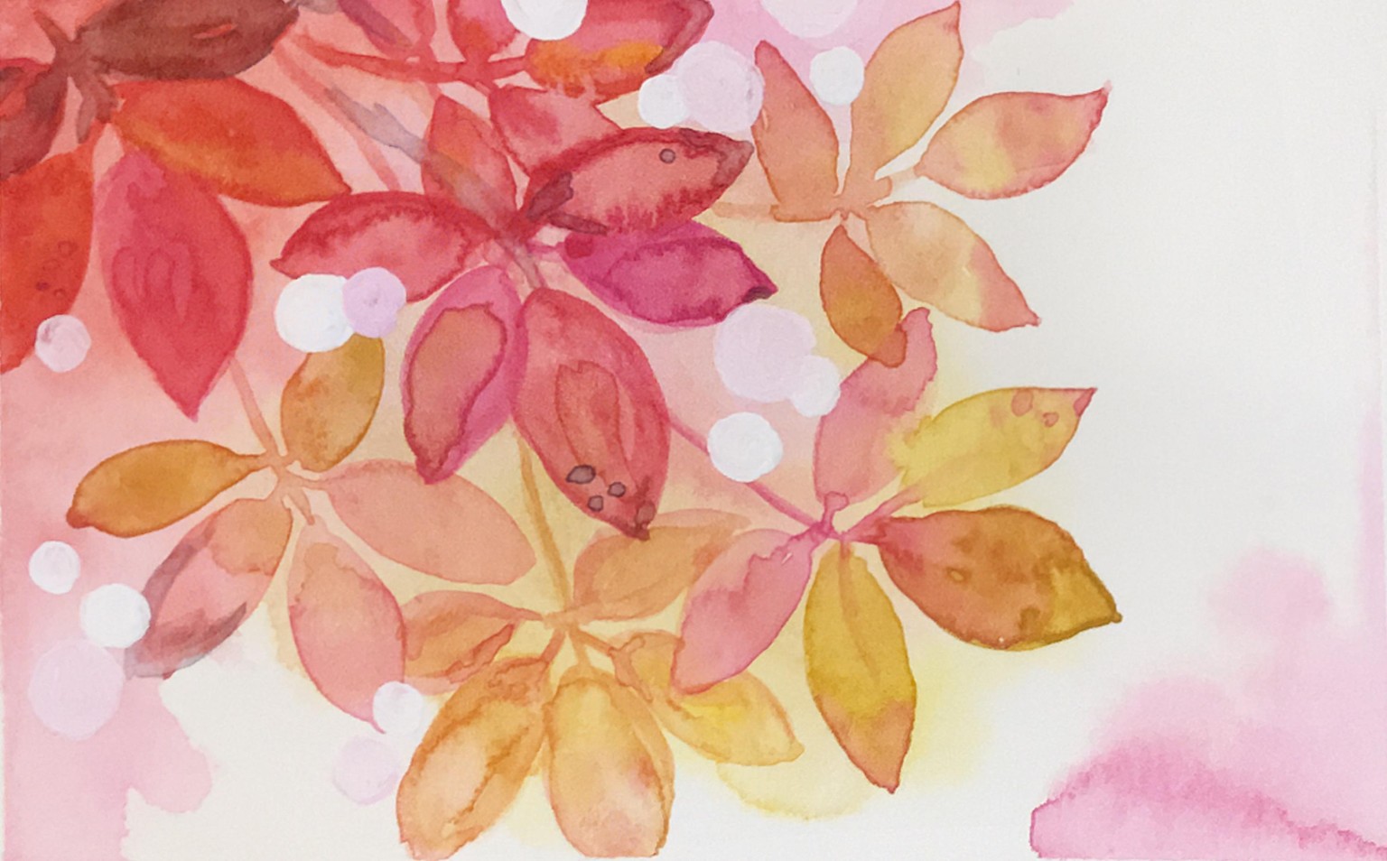 Aquarel herfstblaadjes - image 3 - student project