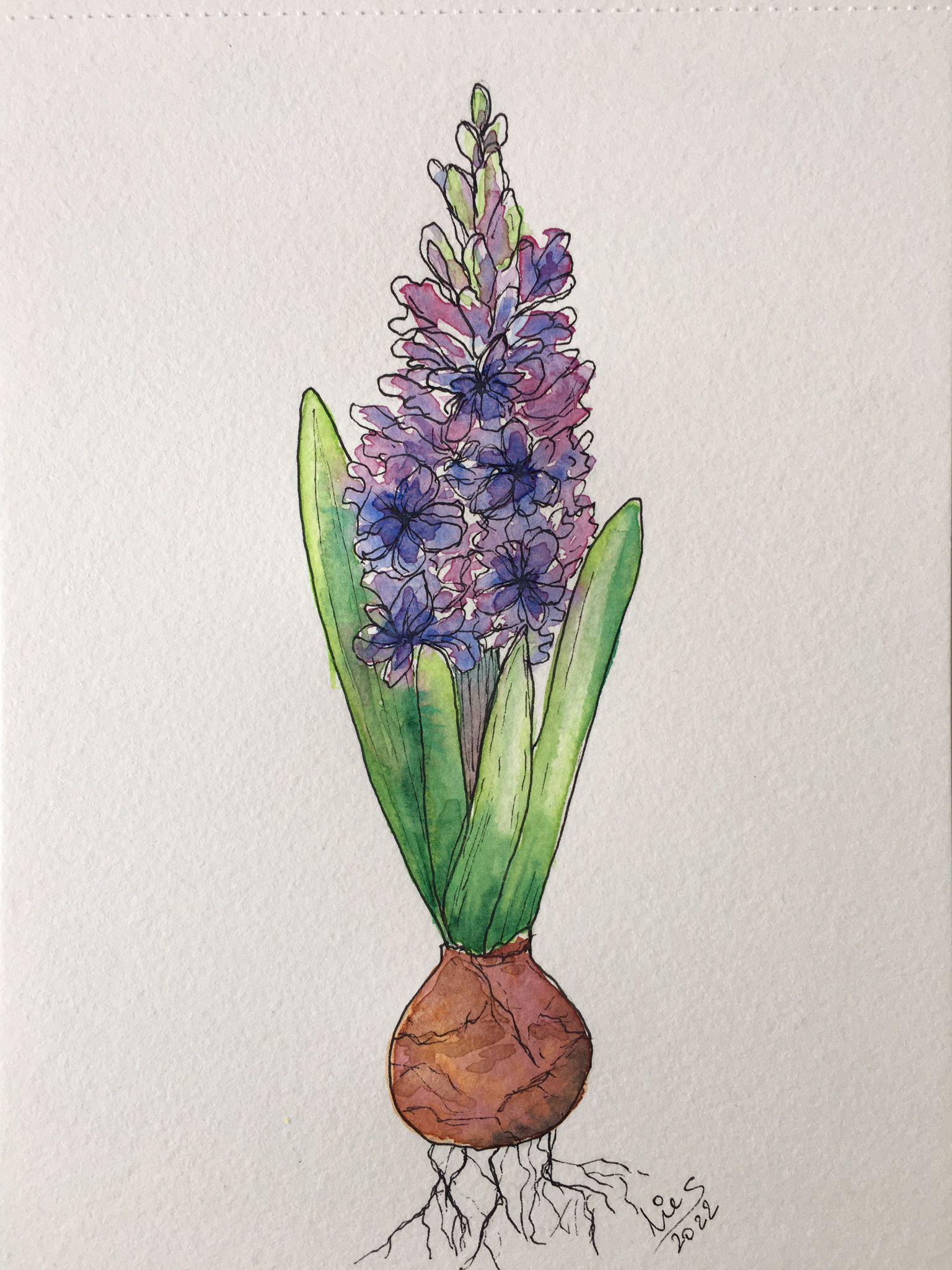 aquarel lentebloemen - 3 stijlen - image 1 - student project