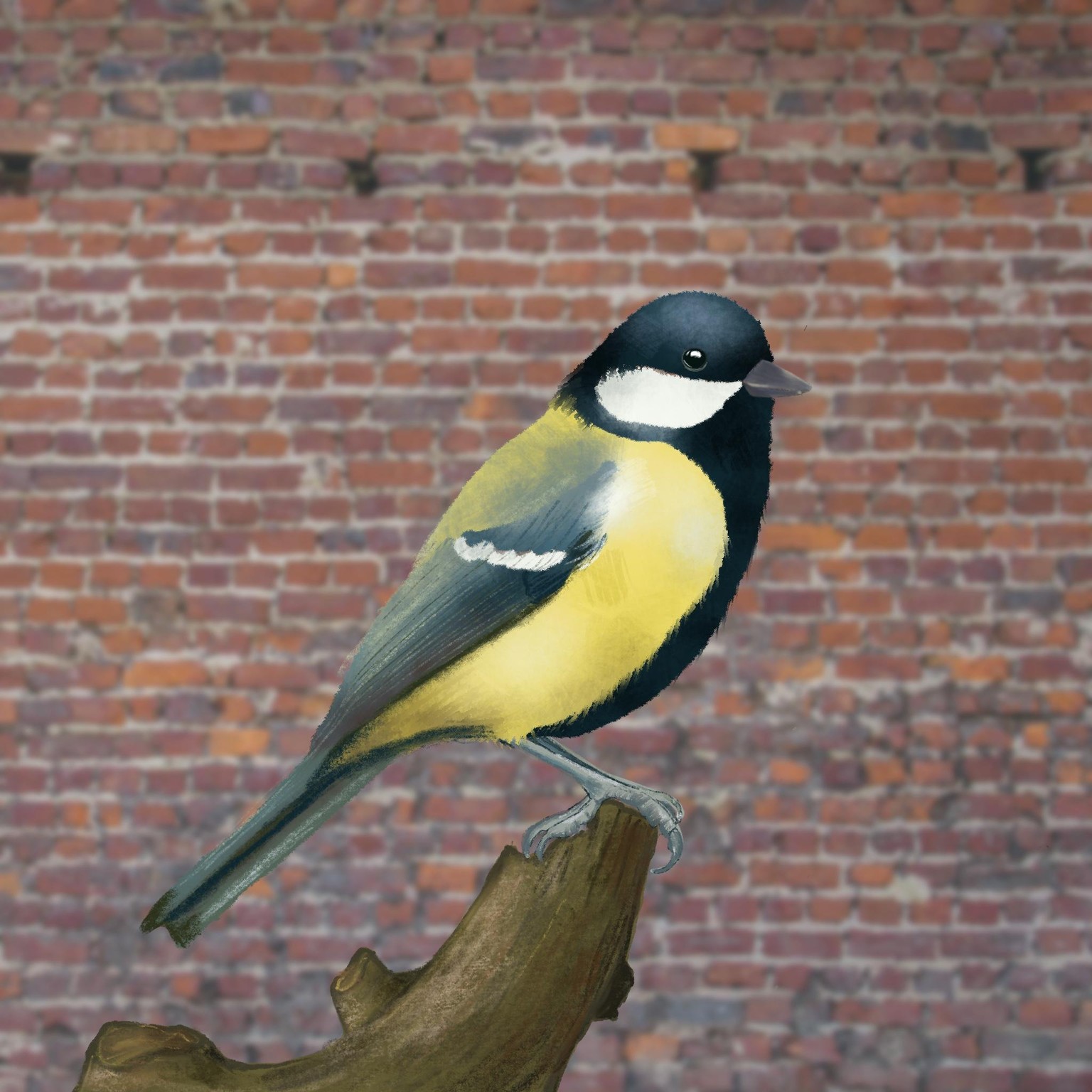 Vogels procreate - image 2 - student project