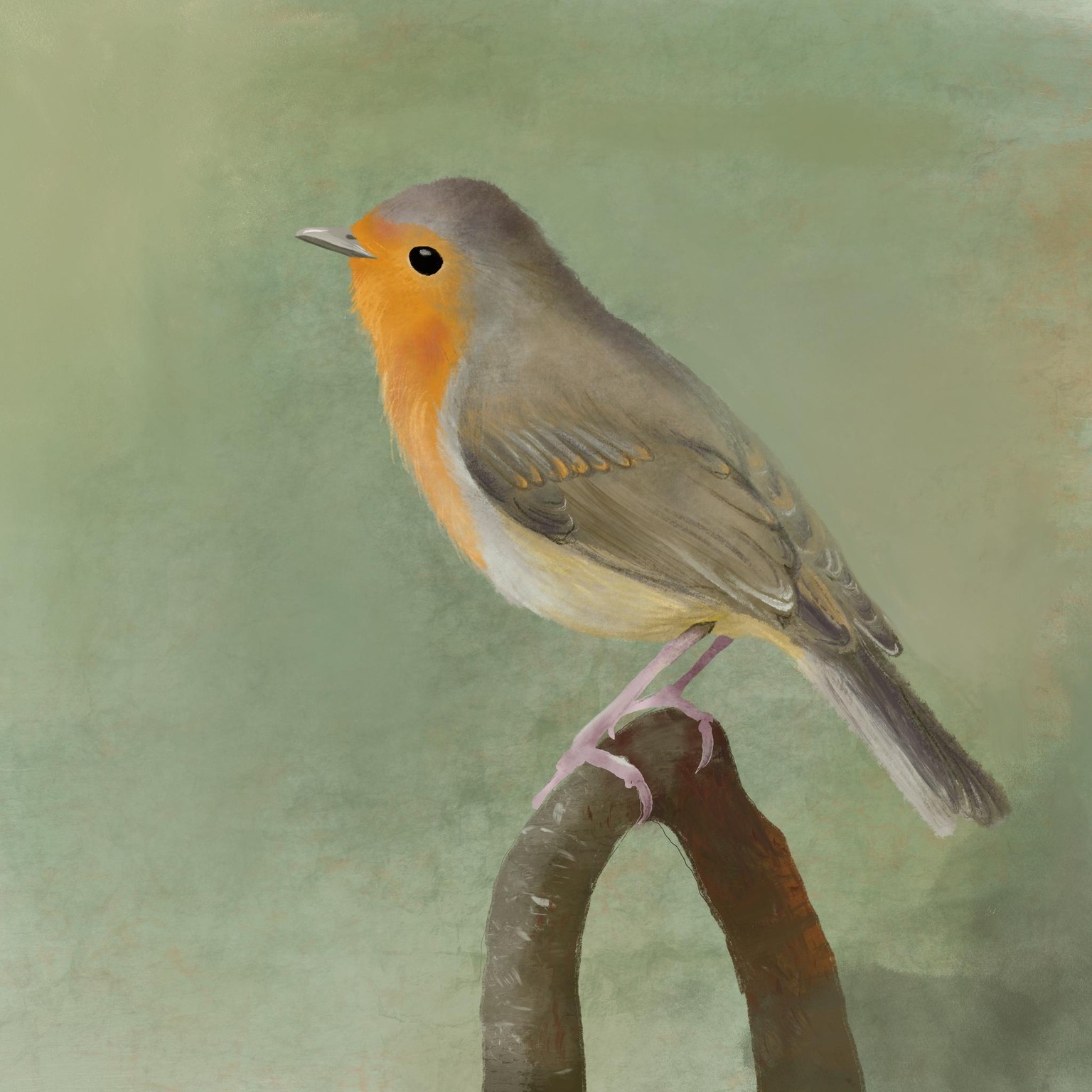 Vogels procreate - image 1 - student project