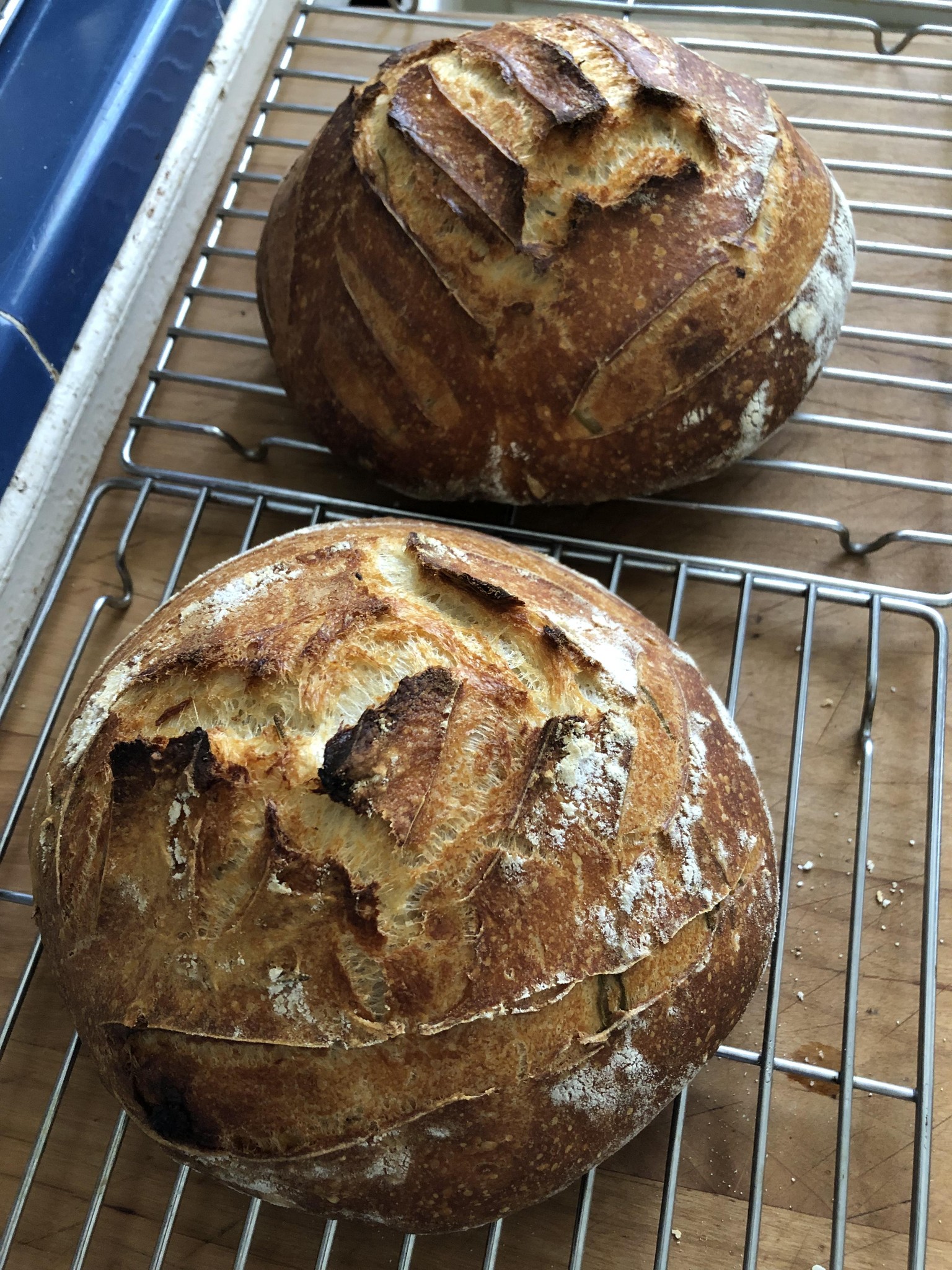 Sourdough Sensations! - image 1 - student project