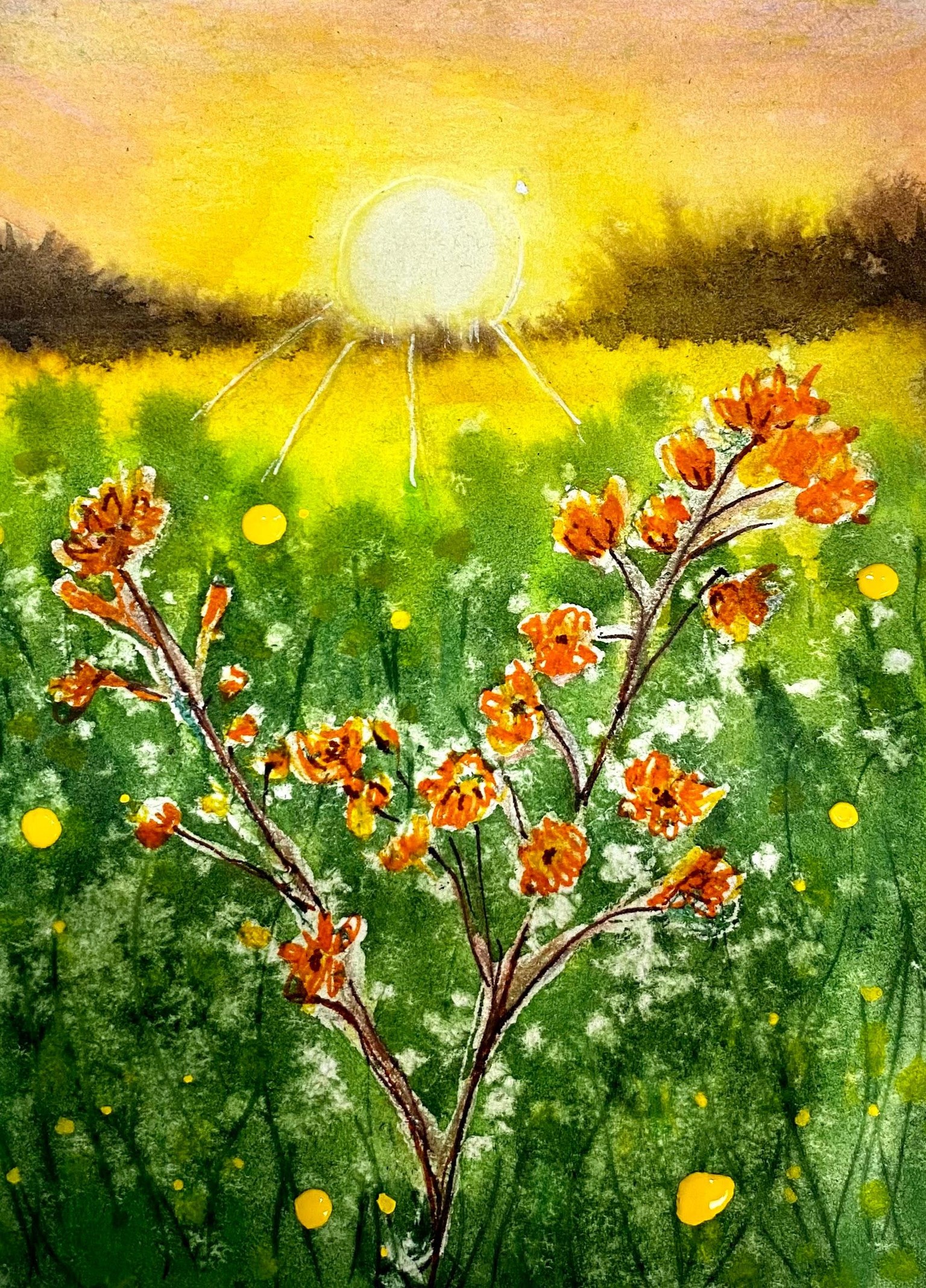 Sunset fields - image 2 - student project