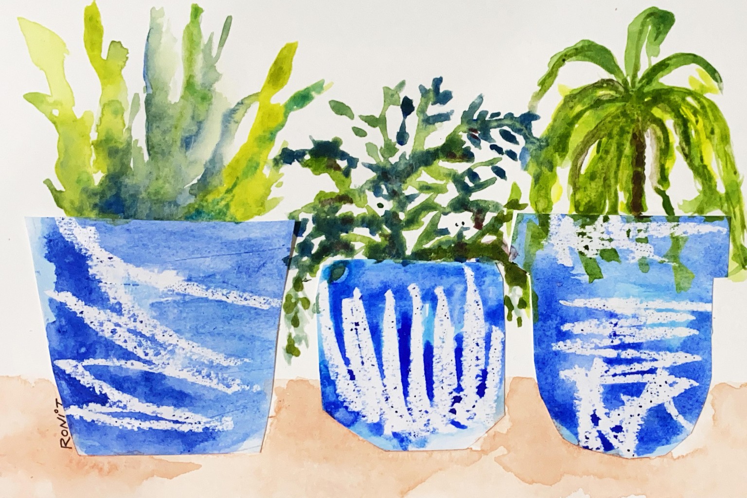 Plants in pots - image 1 - student project